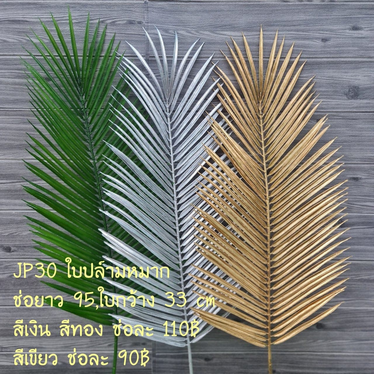 ปล์ามหมาก (JP30), ต้นไม้กระถาง: ฟอร์มสมบูรณ์พร้อมจัดวางในกระถางหรือมุมห้อง