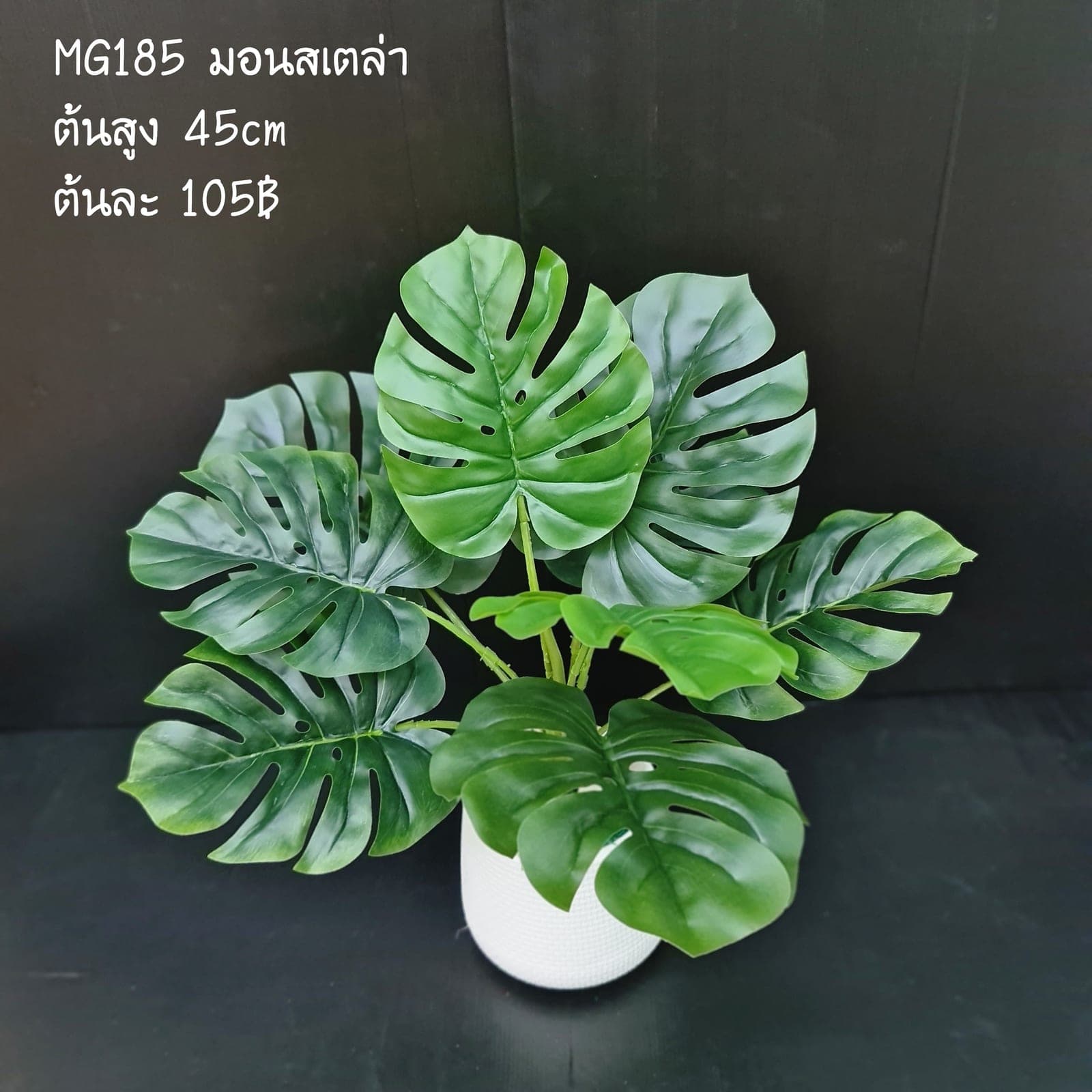 มอน9ใบ (MG185), Foliage (9 leaves): green foliage that balances mass and grounds the focal flowers.