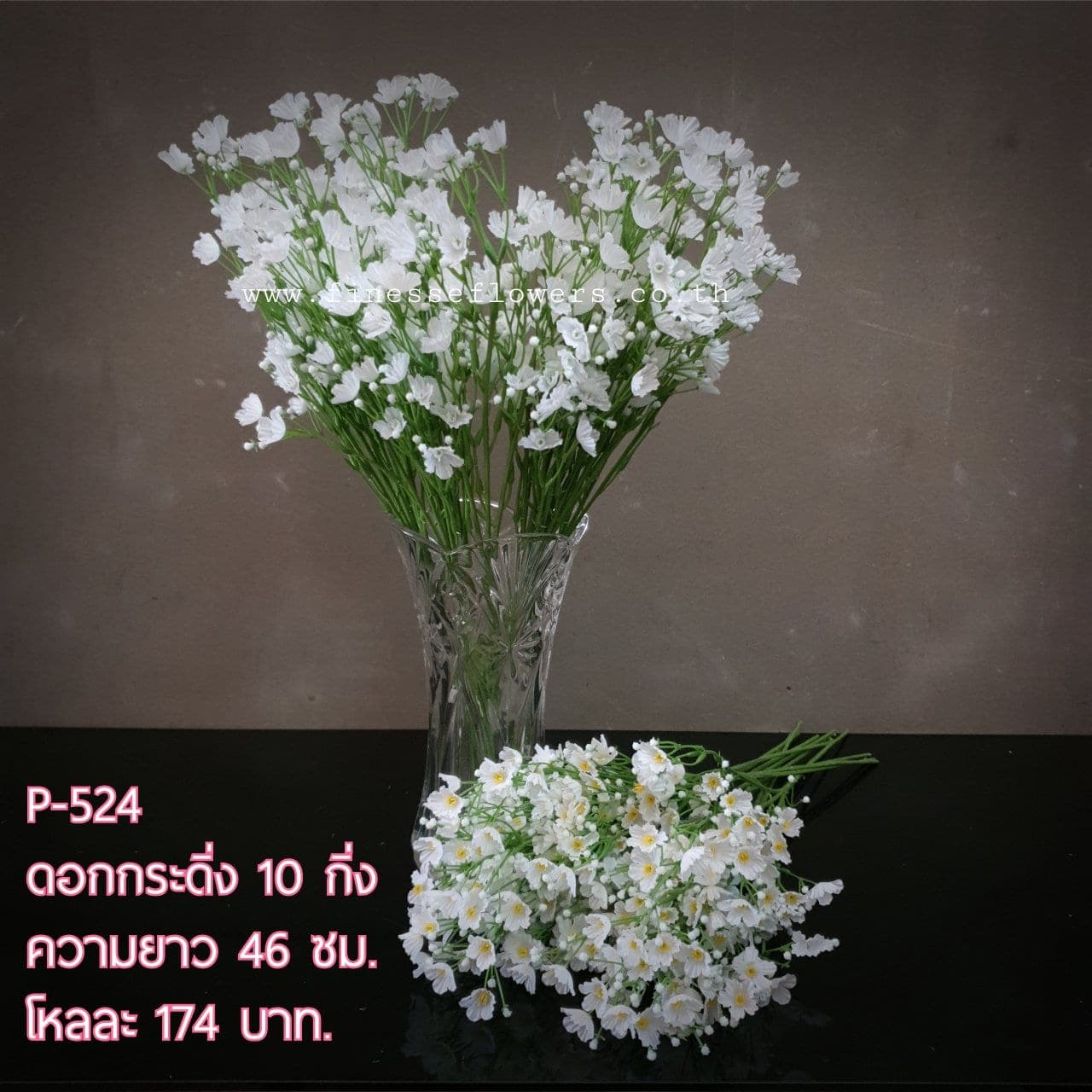 กระดิ่ง 10 กิ่ง (P-524), Potted houseplant (10 branches): a fully formed plant ready to drop into a planter or sit in a corner.