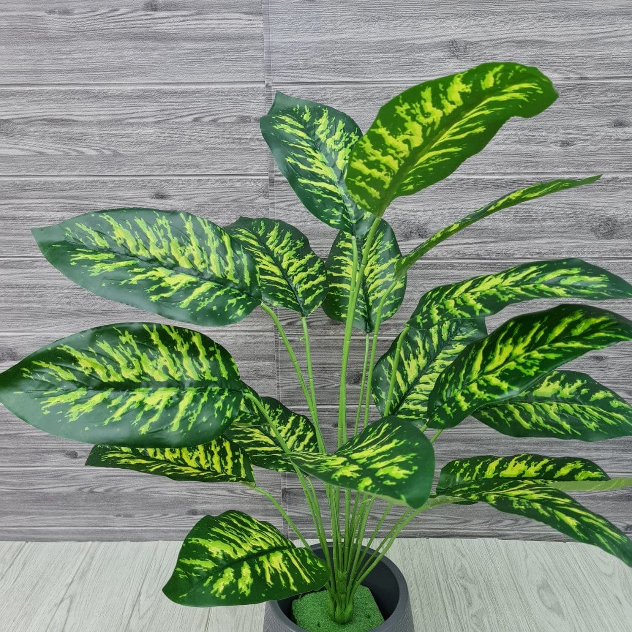 สาวน้อย 18ใบ (WY17), Foliage (18 leaves): green foliage that balances mass and grounds the focal flowers.