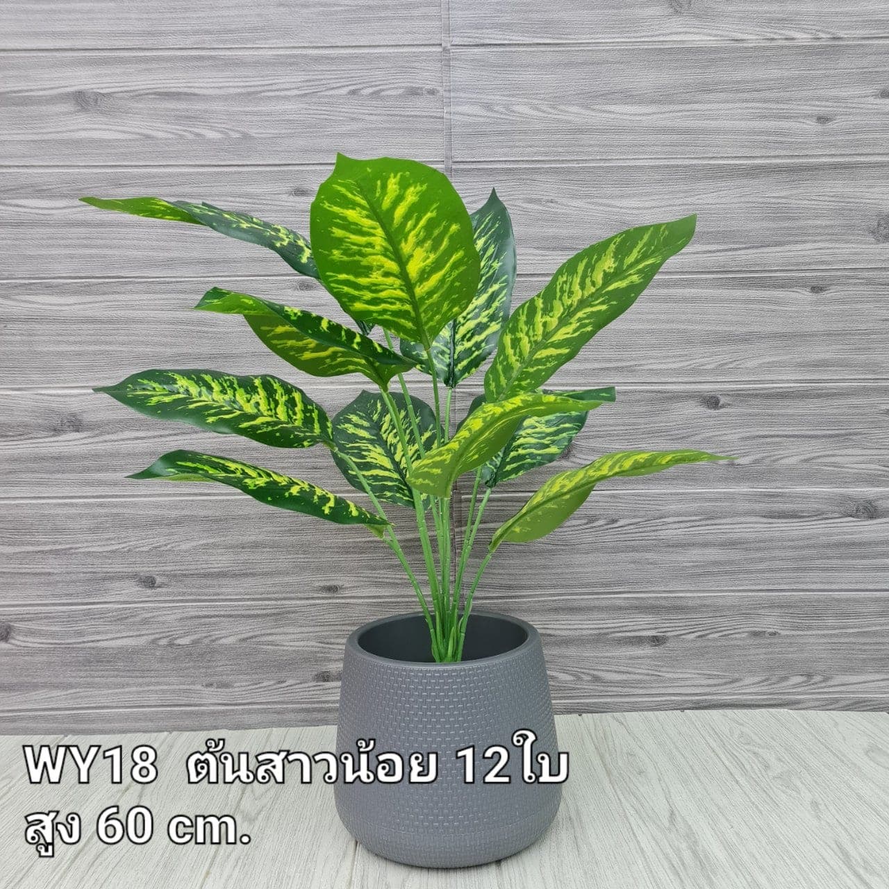 สาวน้อย 12ใบ (WY18), ใบไม้ 12 ใบ: ใบให้น้ำหนักและพื้นผิว เหมาะสำหรับห่มขอบแจกัน