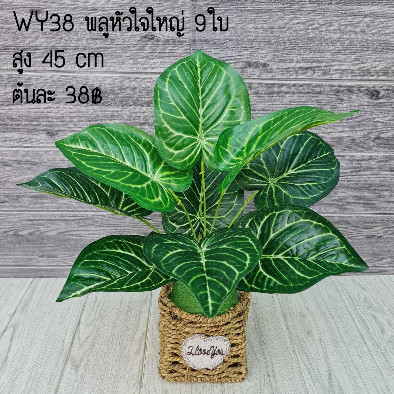 พลูหัวใจใหญ่ 9ใบ (WY38), ใบไม้ 9 ใบ: ใบให้น้ำหนักและพื้นผิว เหมาะสำหรับห่มขอบแจกัน