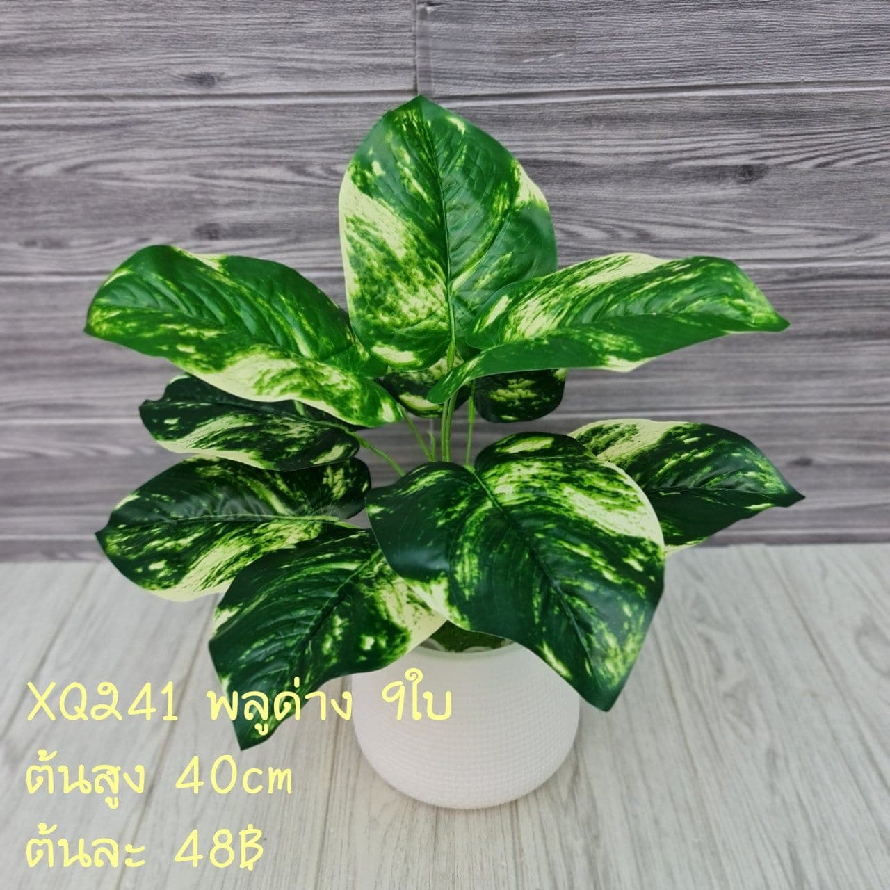 พลูด่าง 9ใบ (XQ241), ใบไม้ 9 ใบ: ใบเขียวสำหรับเสริมความสมดุลและเป็นพื้นหลังให้ดอกหลัก