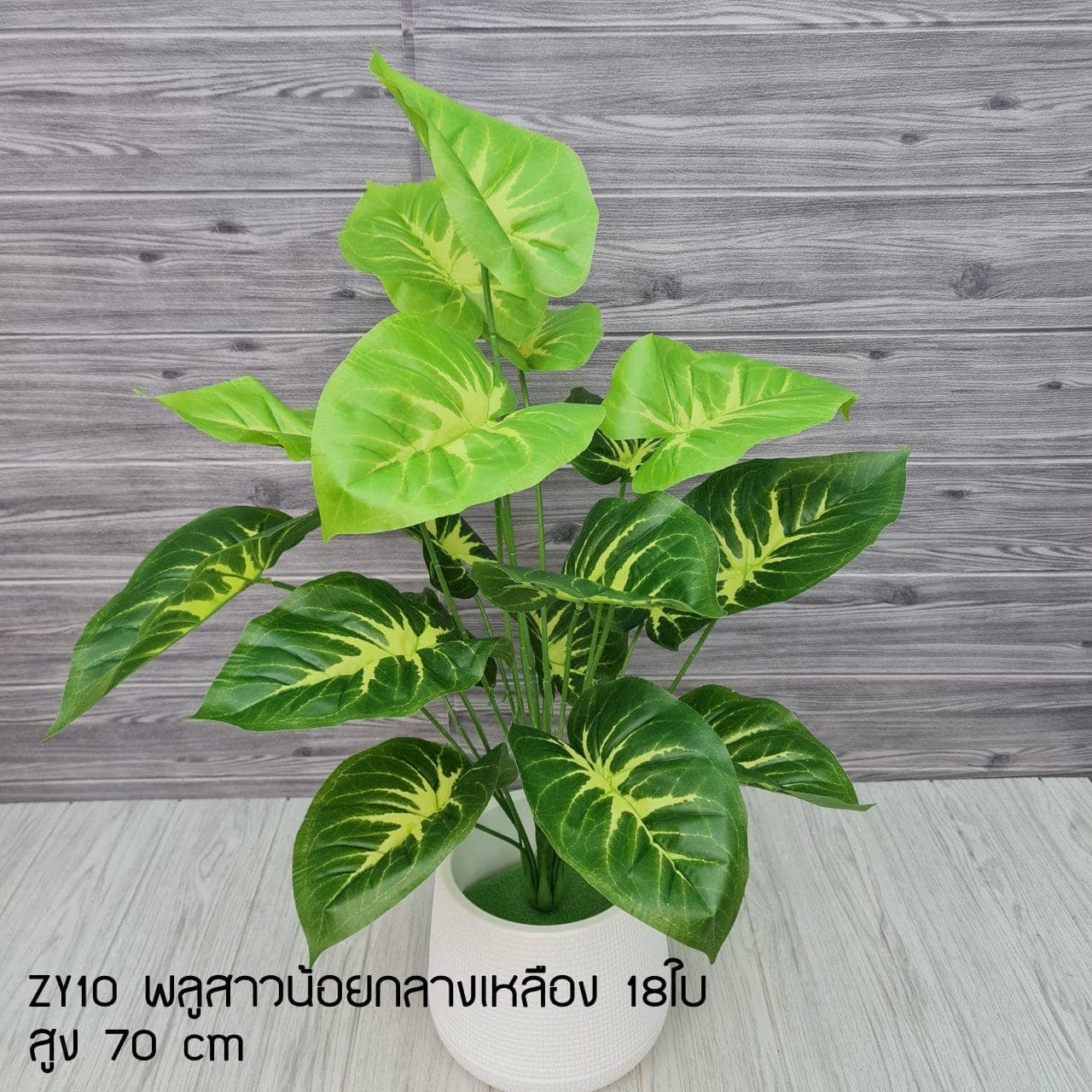 พลูสาวน้อยกลางเหลือง18ใบ (ZY10), ใบไม้ 18 ใบ: ใบเขียวสำหรับเสริมความสมดุลและเป็นพื้นหลังให้ดอกหลัก