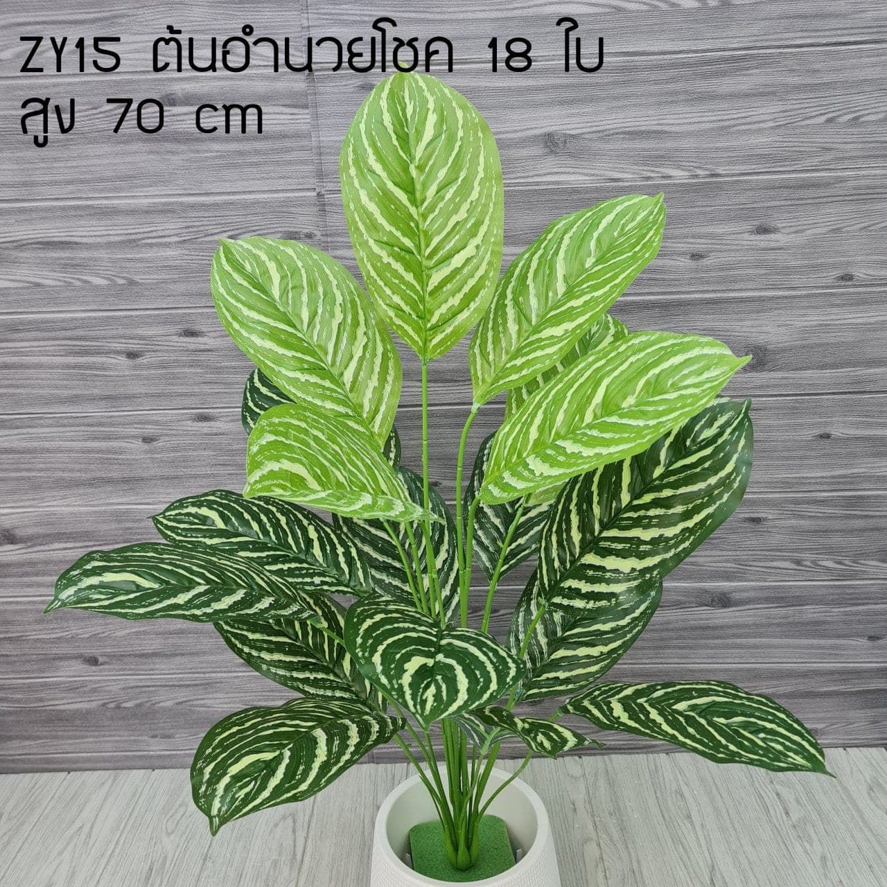 ต้นอำนวยโชค18ใบ (ZY15), ใบไม้ 18 ใบ: ใบให้น้ำหนักและพื้นผิว เหมาะสำหรับห่มขอบแจกัน