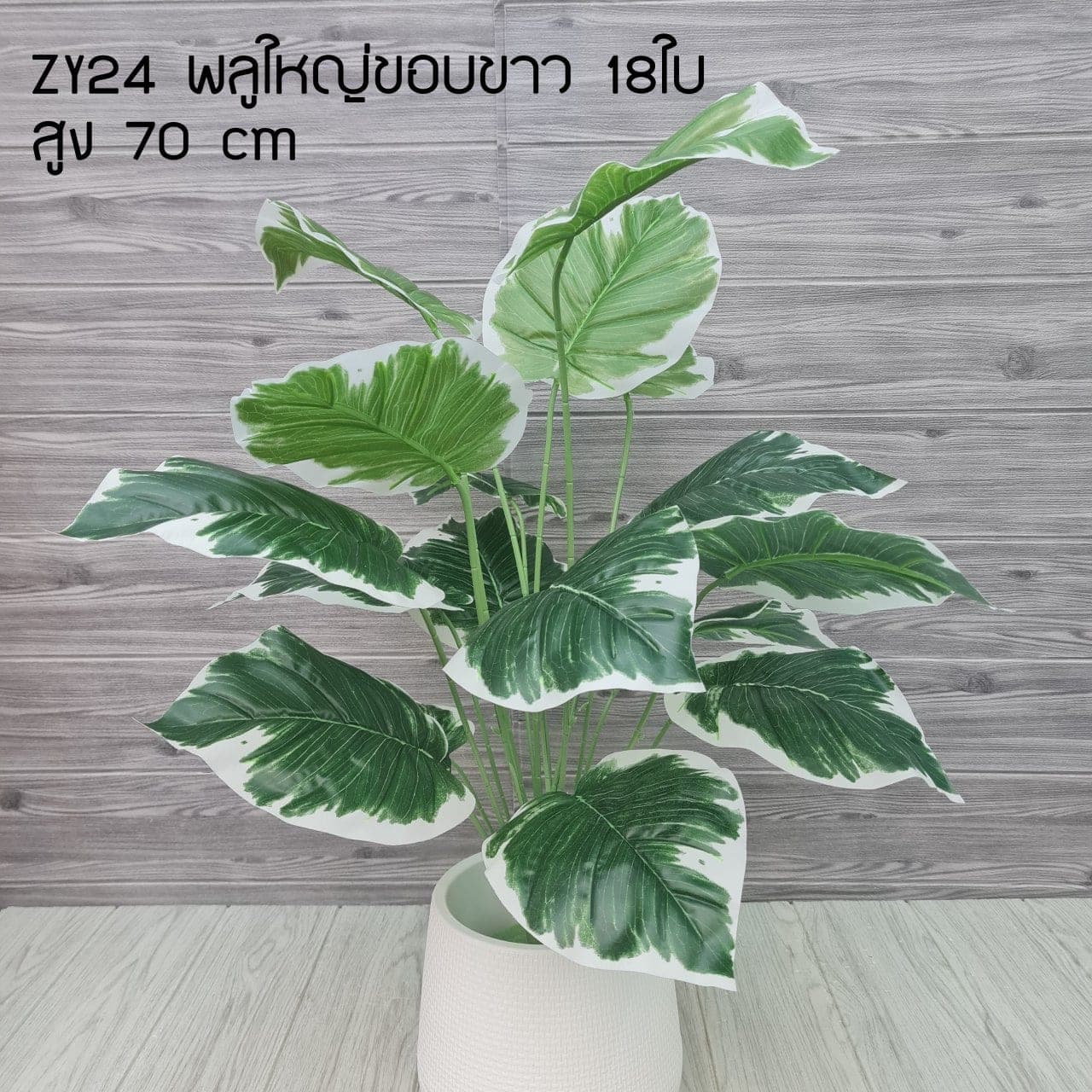 พลูใหญ่ขอบขาว 18ใบ (ZY24), ใบไม้ 18 ใบ: ใบให้น้ำหนักและพื้นผิว เหมาะสำหรับห่มขอบแจกัน