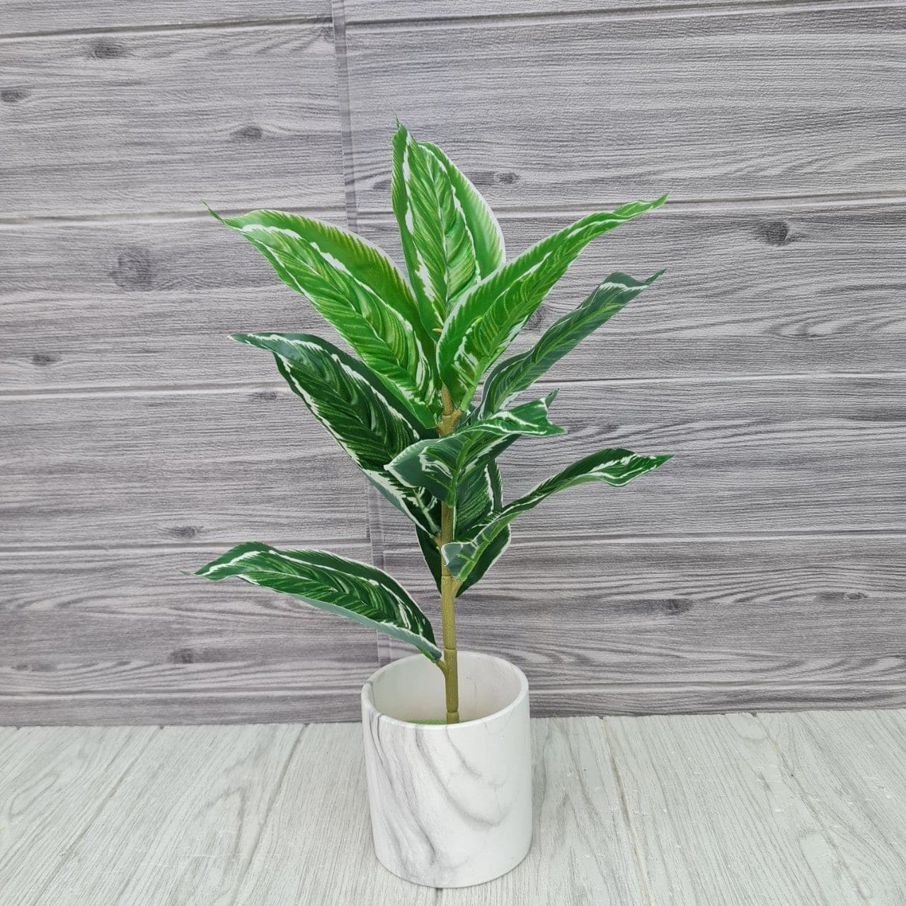 คล้านกยูงใบแหลม (ZY48), Foliage: leaf material that lends weight and texture along the rim of a vessel.