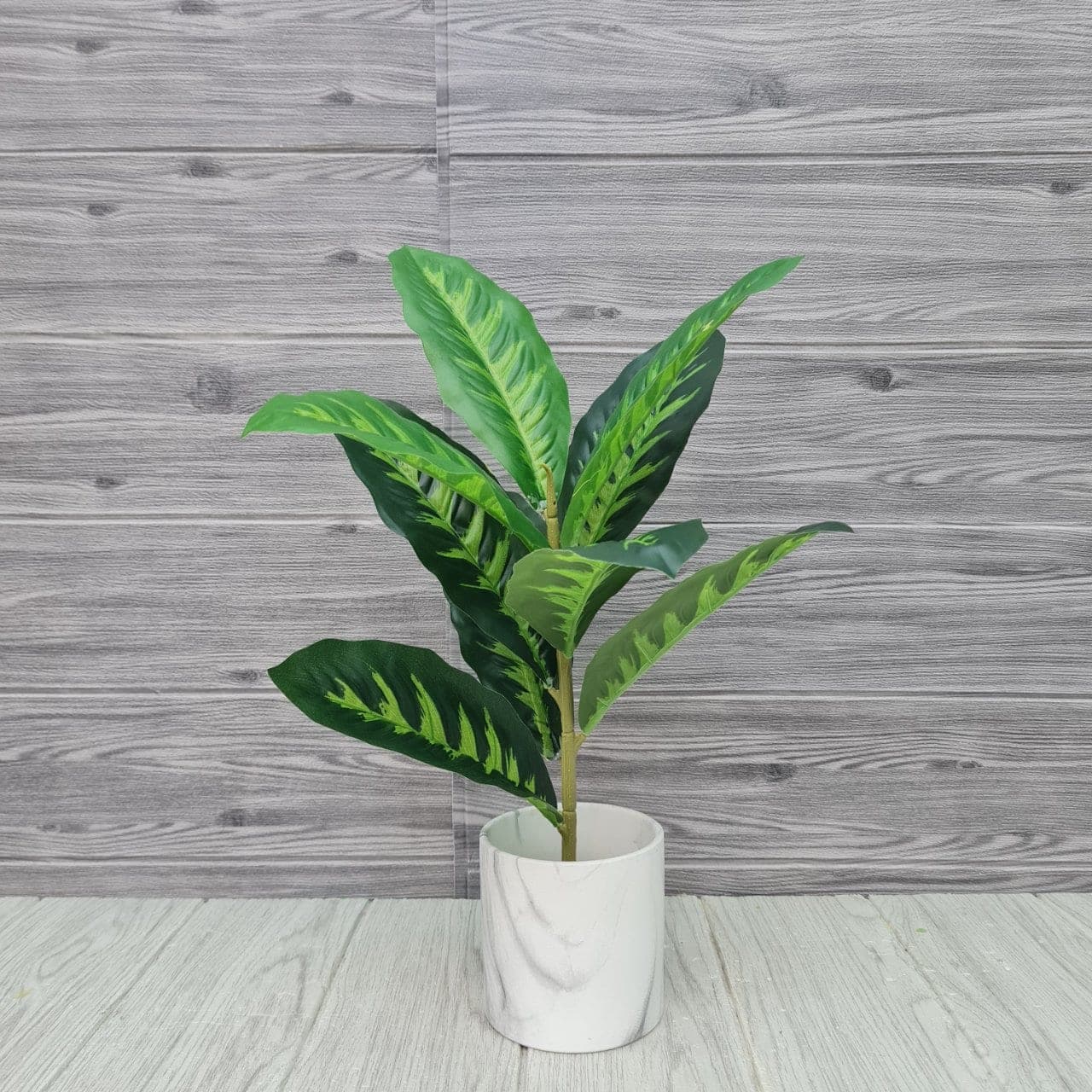 คล้ากาเหว่าใบยาว (ZY50), ใบไม้: ใบเขียวสำหรับเสริมความสมดุลและเป็นพื้นหลังให้ดอกหลัก
