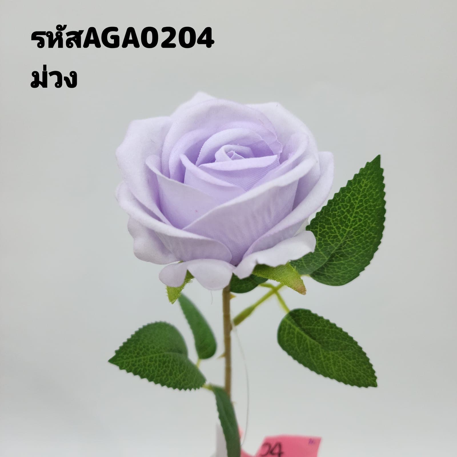 กุหลาบกำมะหยี่เดี่ยว (AGA02), ก้านเดี่ยวกุหลาบ — สีกลีบเป็นชั้นไล่โทนจากใจกลางสู่ขอบนอก