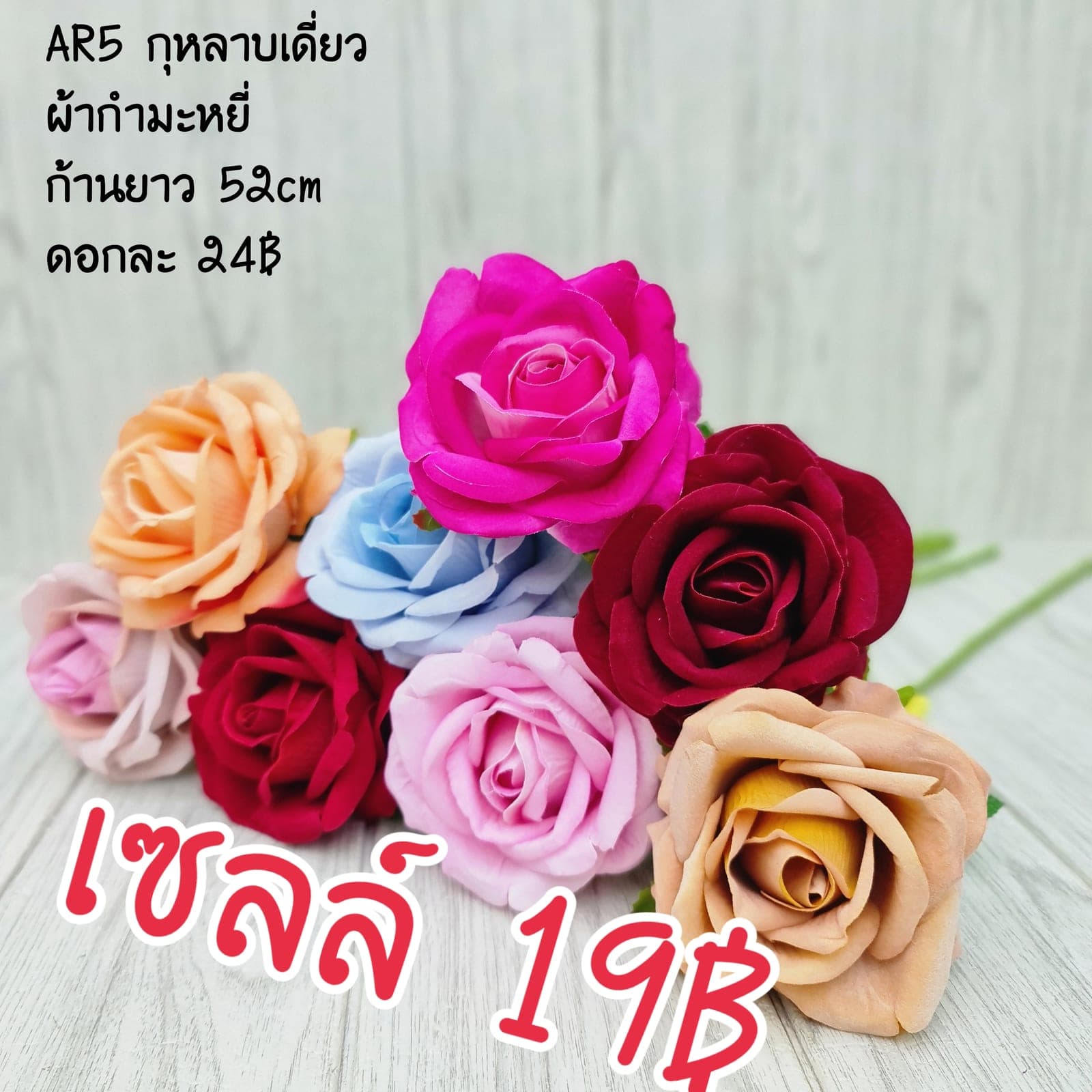 กุหลาบเดี่ยว (AR5), A single-stem rose — graduated petal tones running from a deep heart to a softer edge.