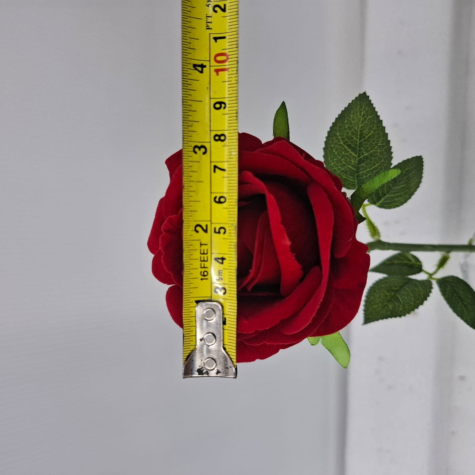 กุหลาบเดี่ยว (AVA01), A single-stem rose — a sculpted bloom with a sturdy stem and full, even profile.