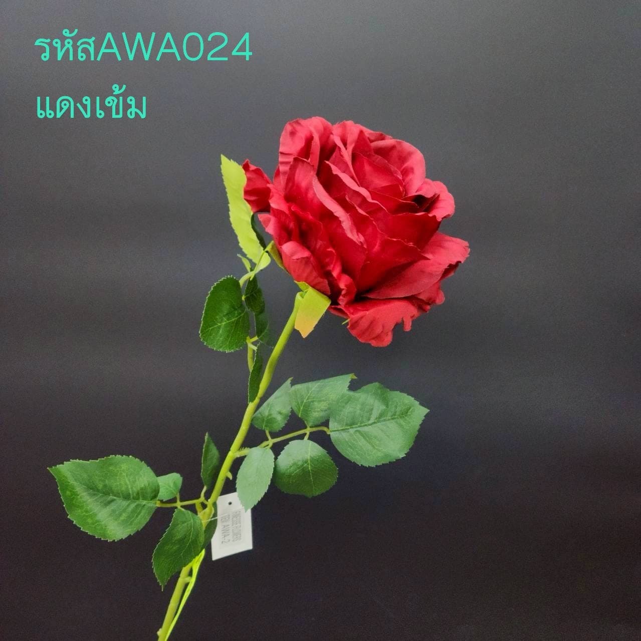 กุหลาบใหญ่เดี่ยว (AWA02), A single-stem rose — velvet petals folded into opening, multi-layered tiers.