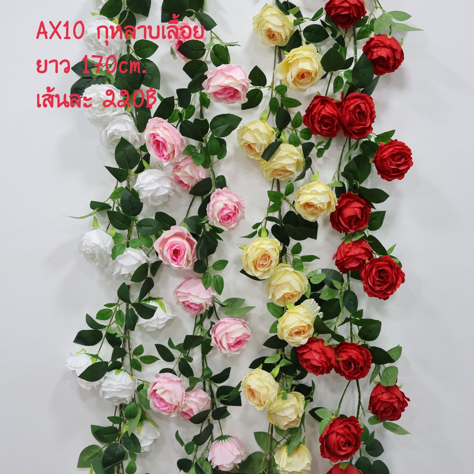 กุหลาบเลื้อย (AX10)