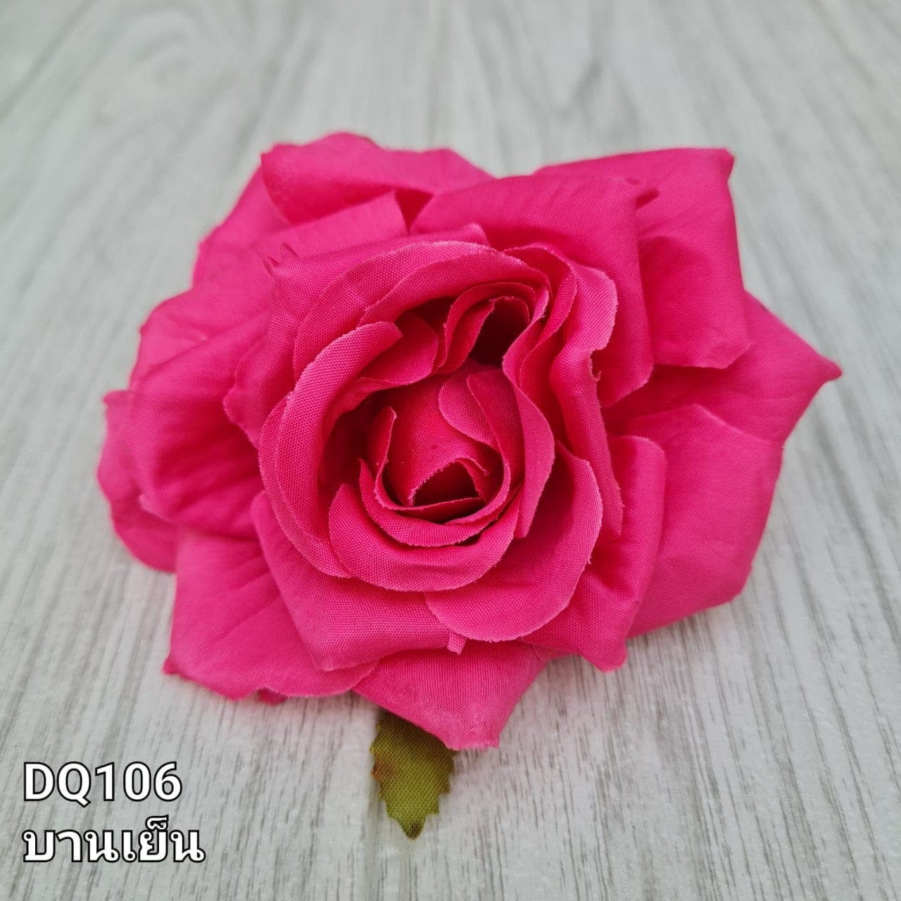 หัวดอกกุหลาบ (DQ1), กุหลาบ: กลีบกำมะหยี่พับซ้อนกันเป็นชั้นเปิดอ่อนละมุน