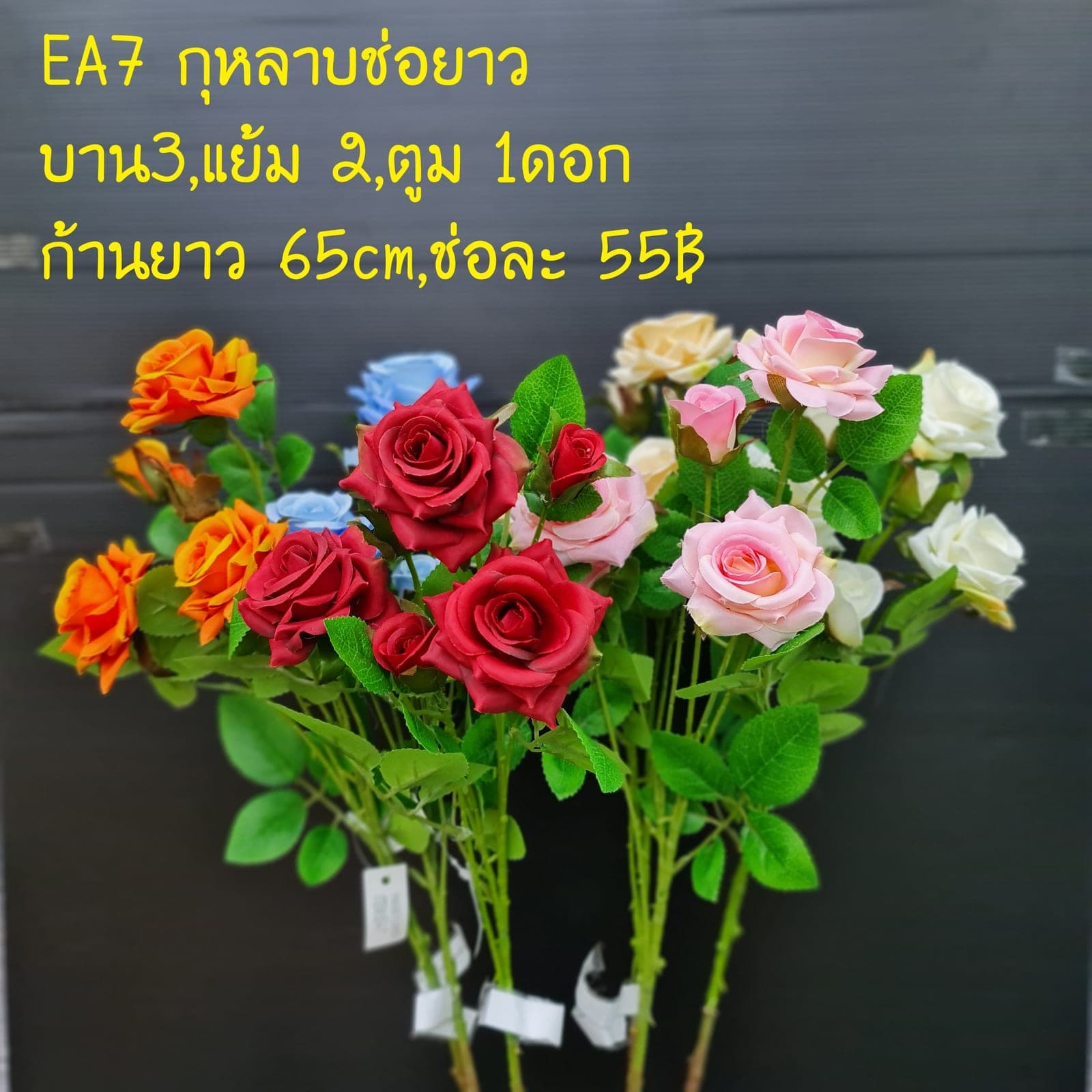 กุหลาบอังกฤษ ช่อยาว (EA7), กุหลาบอังกฤษ: กลีบม้วนซ้อนเรียงเป็นทรงถ้วยสไตล์สวนอังกฤษ