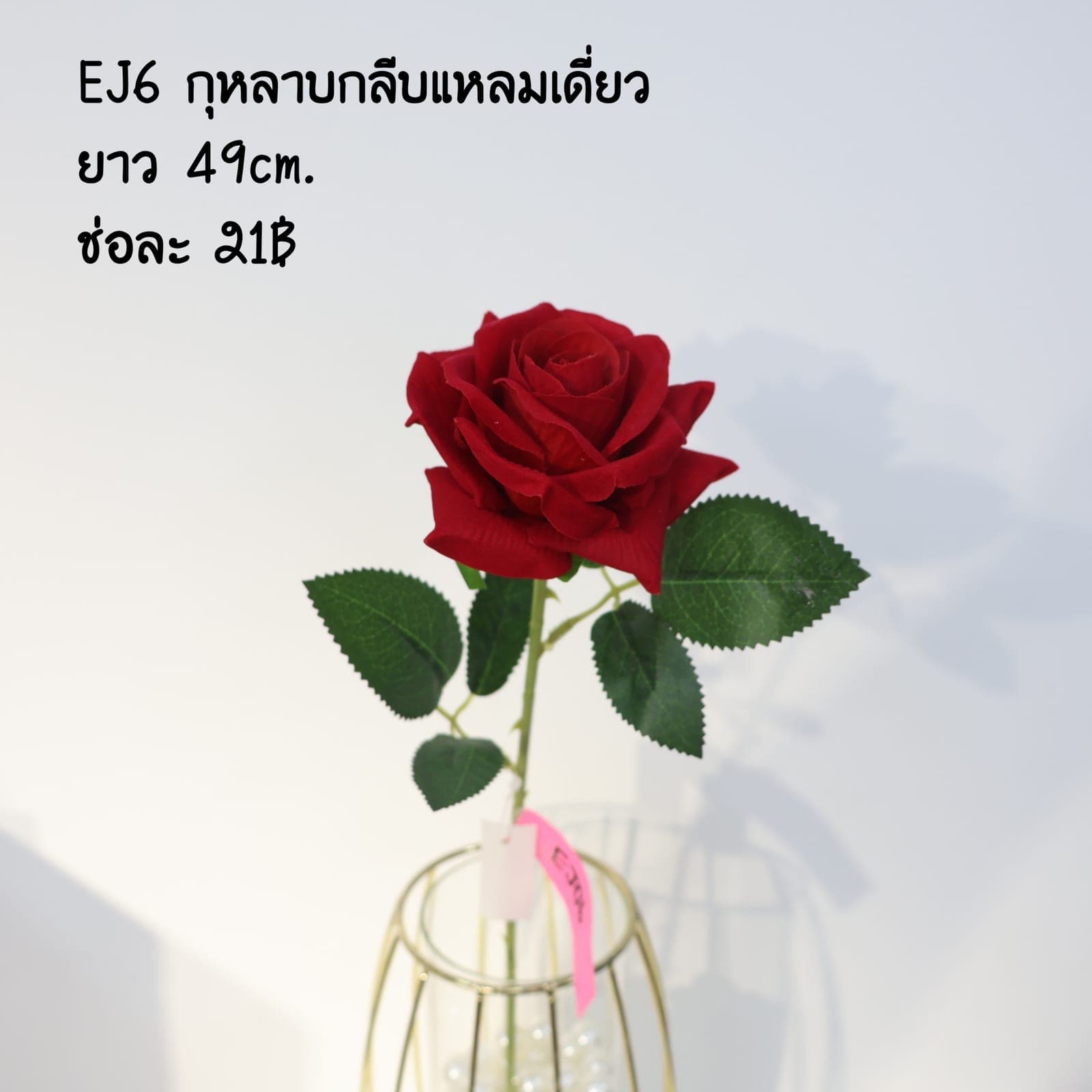 กุหลาบกลีบแหลมเดี่ยว (EJ06), ก้านเดี่ยวกุหลาบ: สีกลีบเป็นชั้นไล่โทนจากใจกลางสู่ขอบนอก