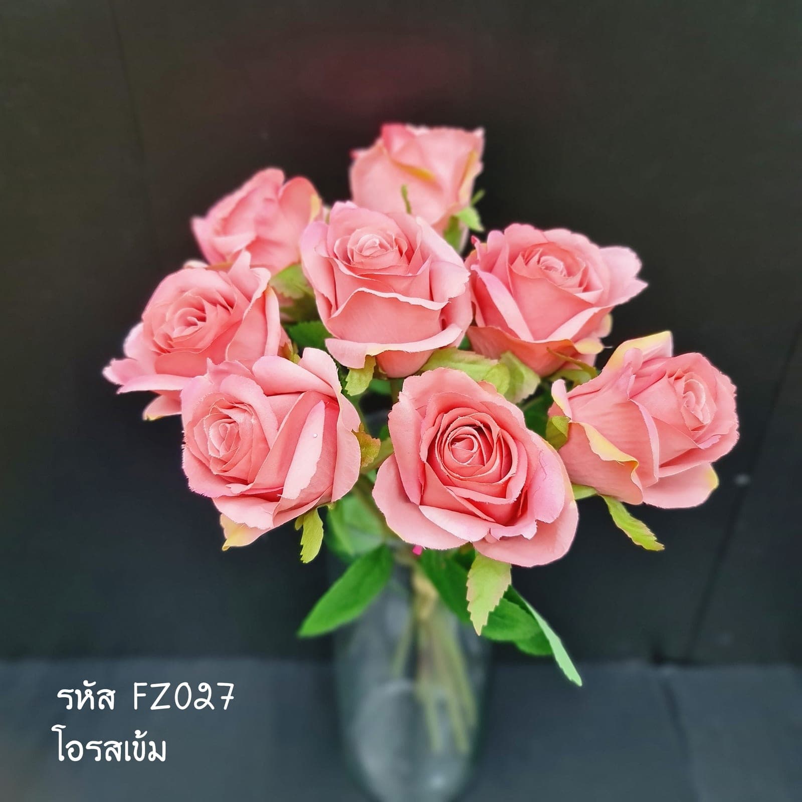 กุหลาบกำแย้ม (FZ2), กุหลาบ: กลีบกำมะหยี่พับซ้อนกันเป็นชั้นเปิดอ่อนละมุน