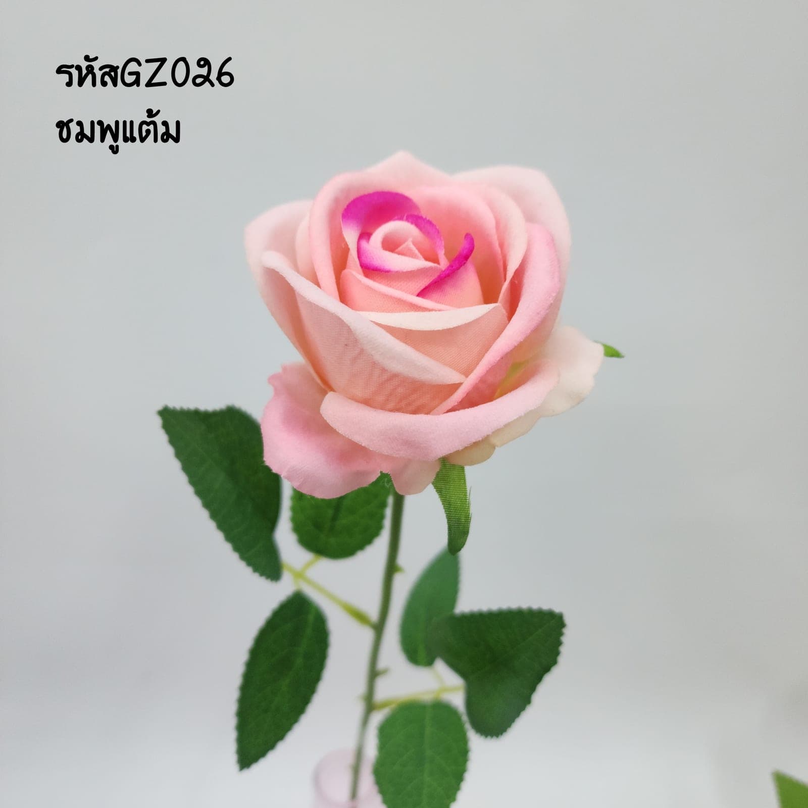 กุหลาบเดี่ยว (GZ02), ก้านเดี่ยวกุหลาบ: ดอกแน่น ก้านแข็งแรง ทรงเปิดได้สวยทุกมุม