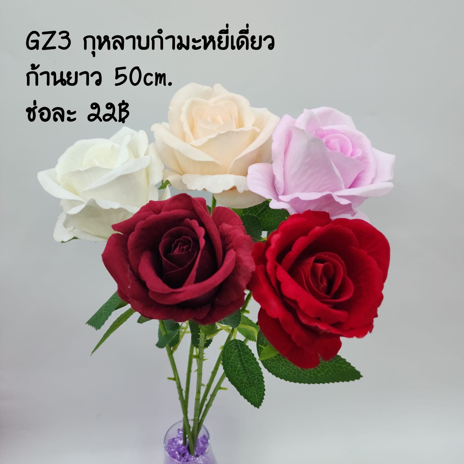 กุหลาบเดี่ยว (GZ03), ก้านเดี่ยวกุหลาบ: สีกลีบเป็นชั้นไล่โทนจากใจกลางสู่ขอบนอก