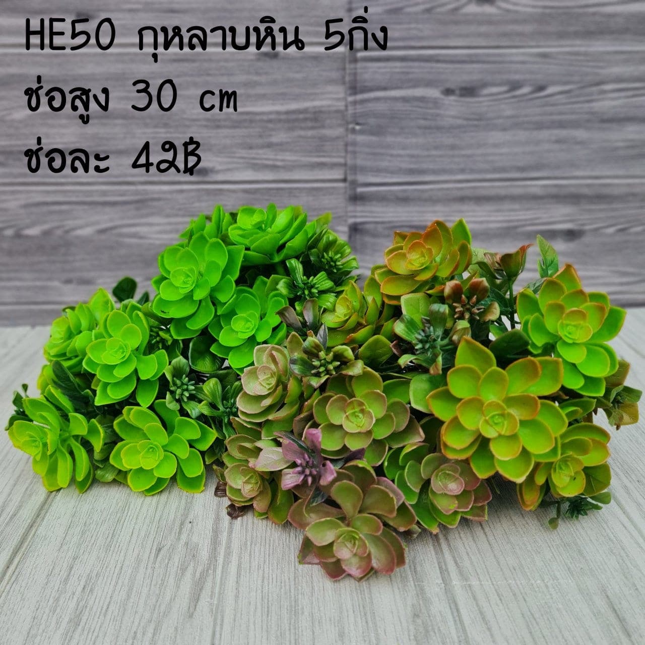 กุหลาบหิน 5กิ่ง (HE50), กุหลาบ 5 กิ่ง: สีกลีบเป็นชั้นไล่โทนจากใจกลางสู่ขอบนอก