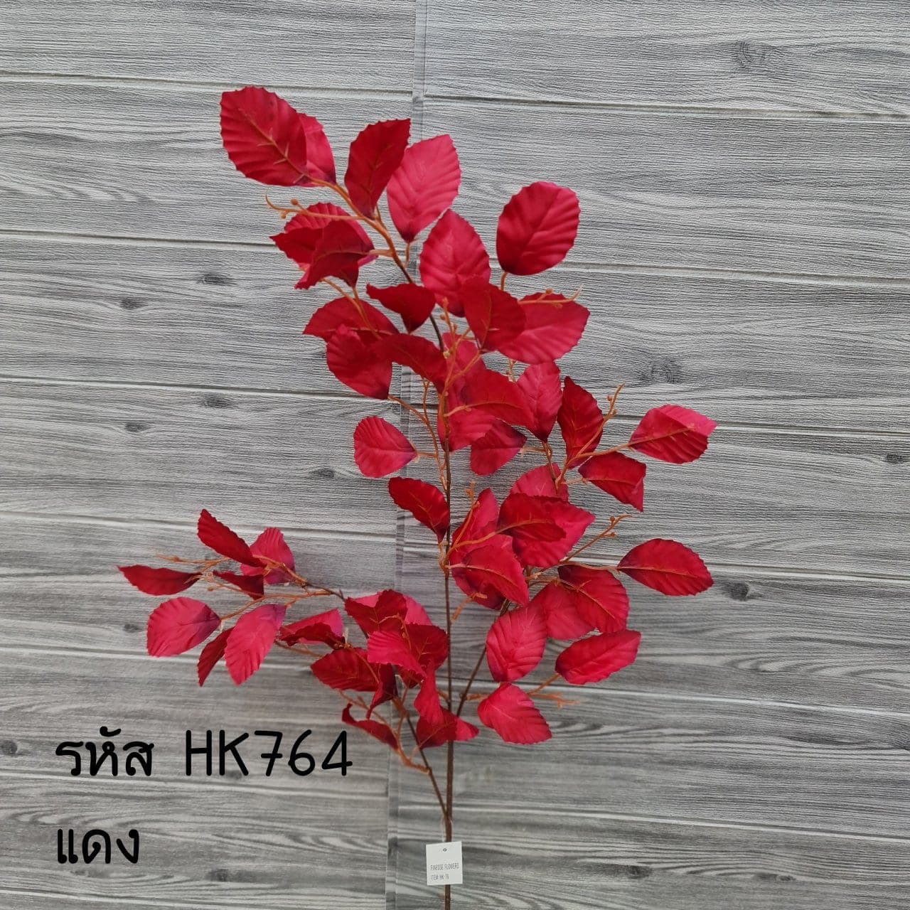 ใบกุหลาบแฟนซี (HK76), Rose: a sculpted bloom with a sturdy stem and full, even profile.