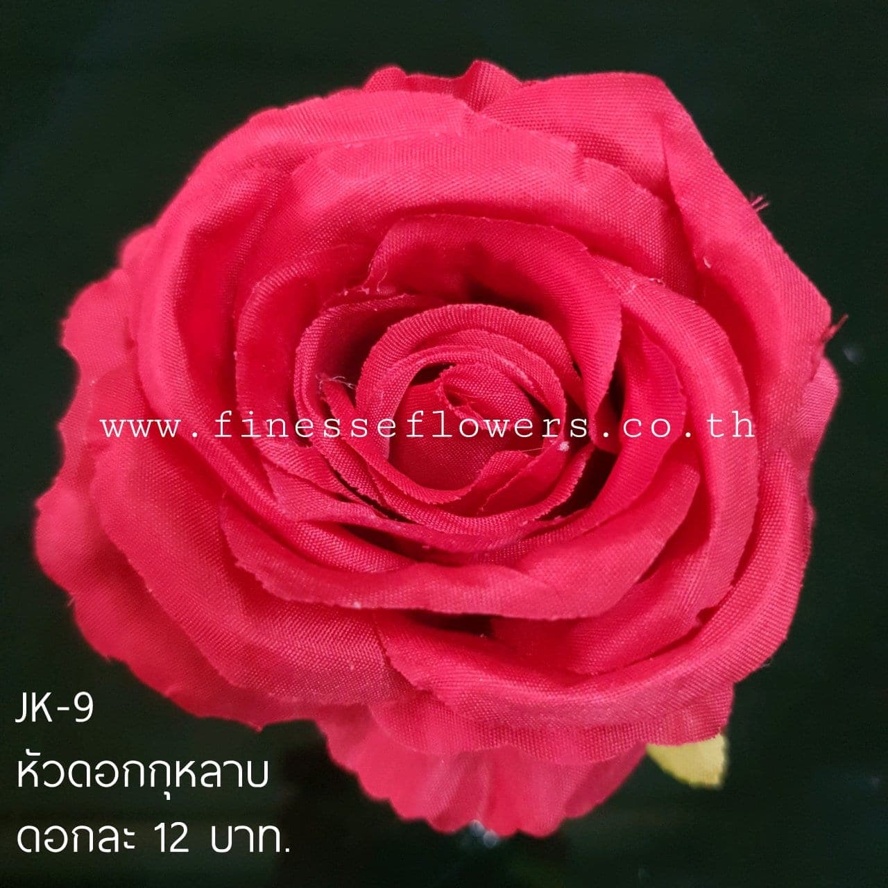 หัวดอกกุหลาบ (JK-9), กุหลาบ: สีกลีบเป็นชั้นไล่โทนจากใจกลางสู่ขอบนอก