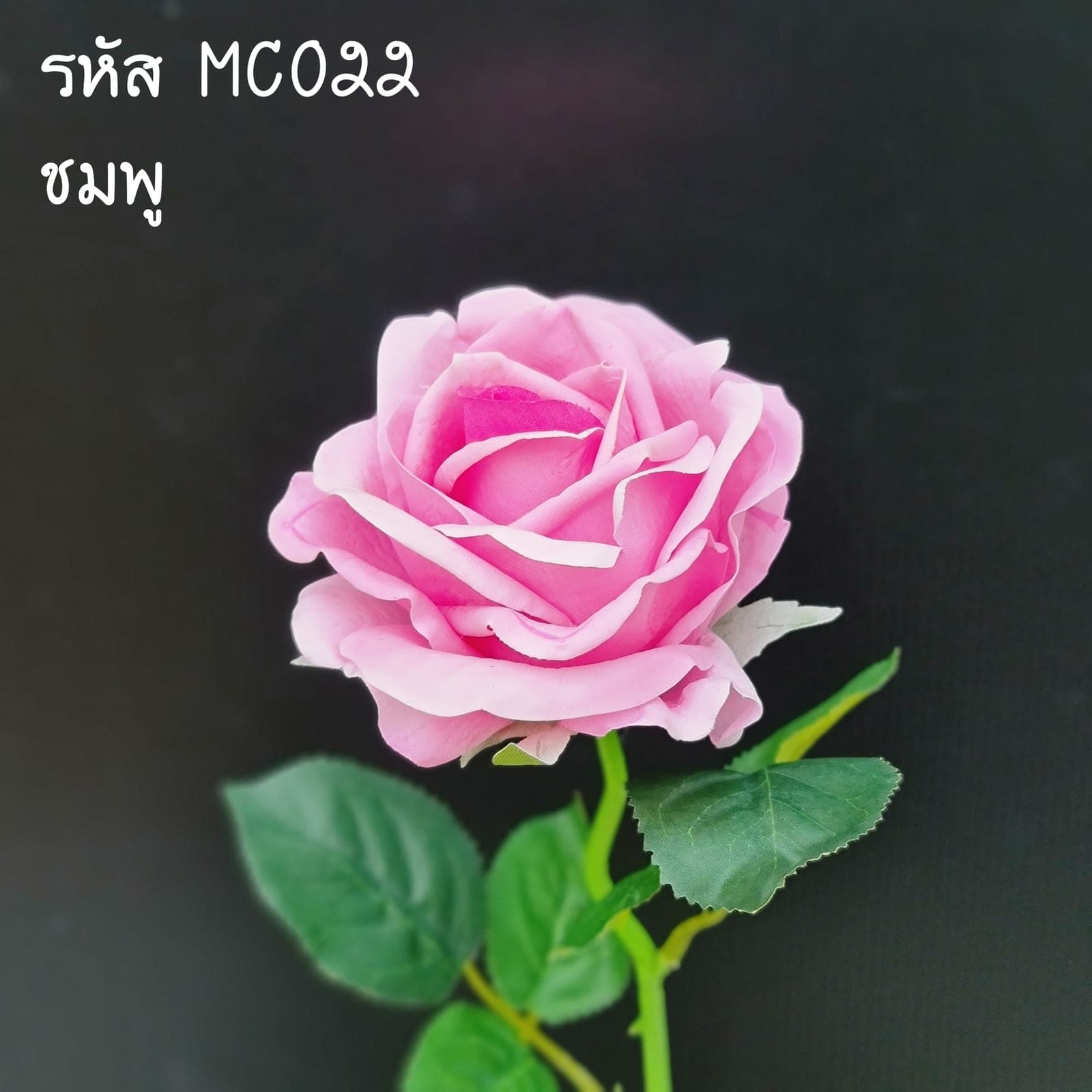 กุหลาบยาน ผ้าธรรมชาติ (MC2), ผ้าธรรมชาติ: เนื้อผ้าธรรมชาติ ให้ผิวสัมผัสและการสะท้อนแสงคล้ายดอกสด