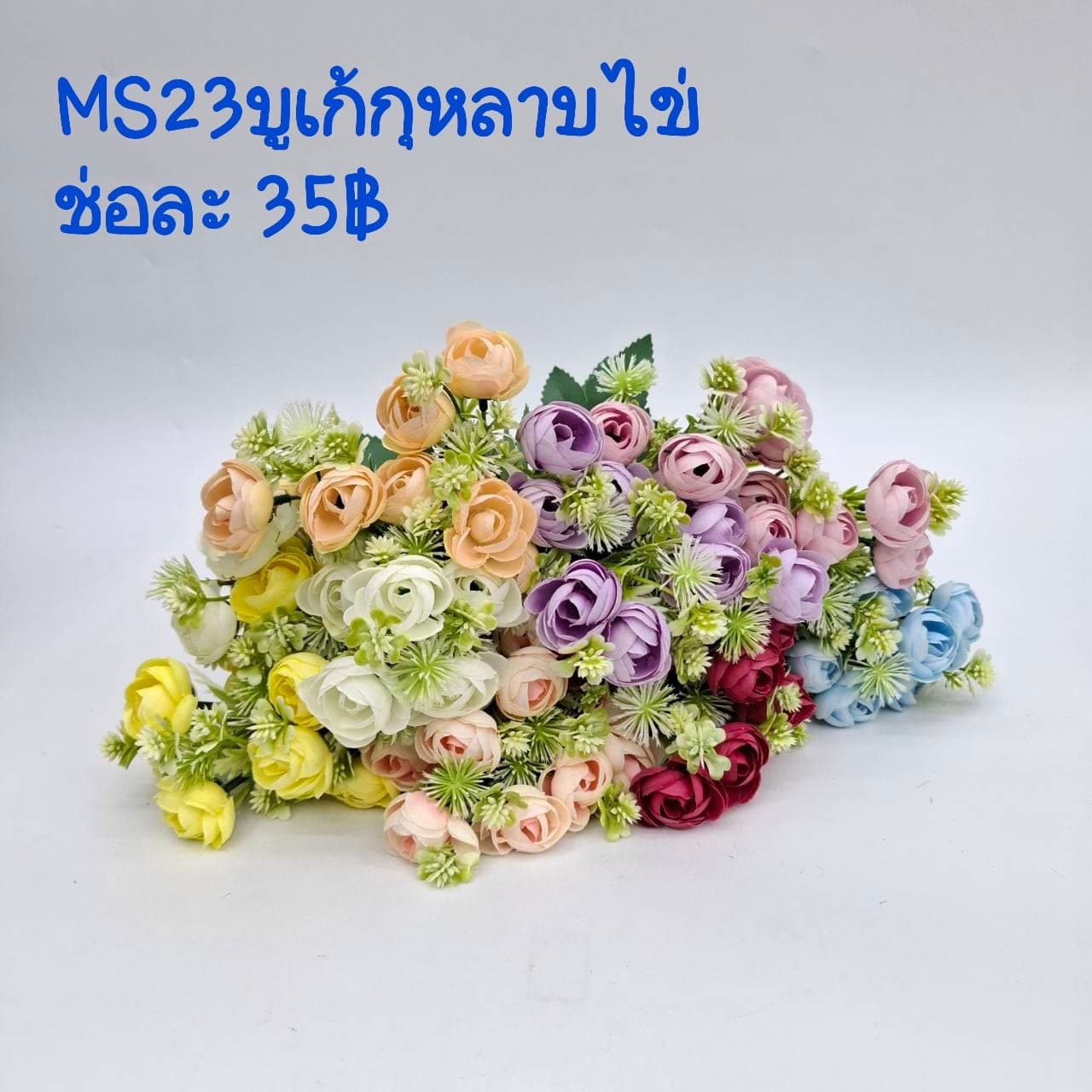 กุหลาบไข่ (MS23), กุหลาบ: กลีบกำมะหยี่พับซ้อนกันเป็นชั้นเปิดอ่อนละมุน