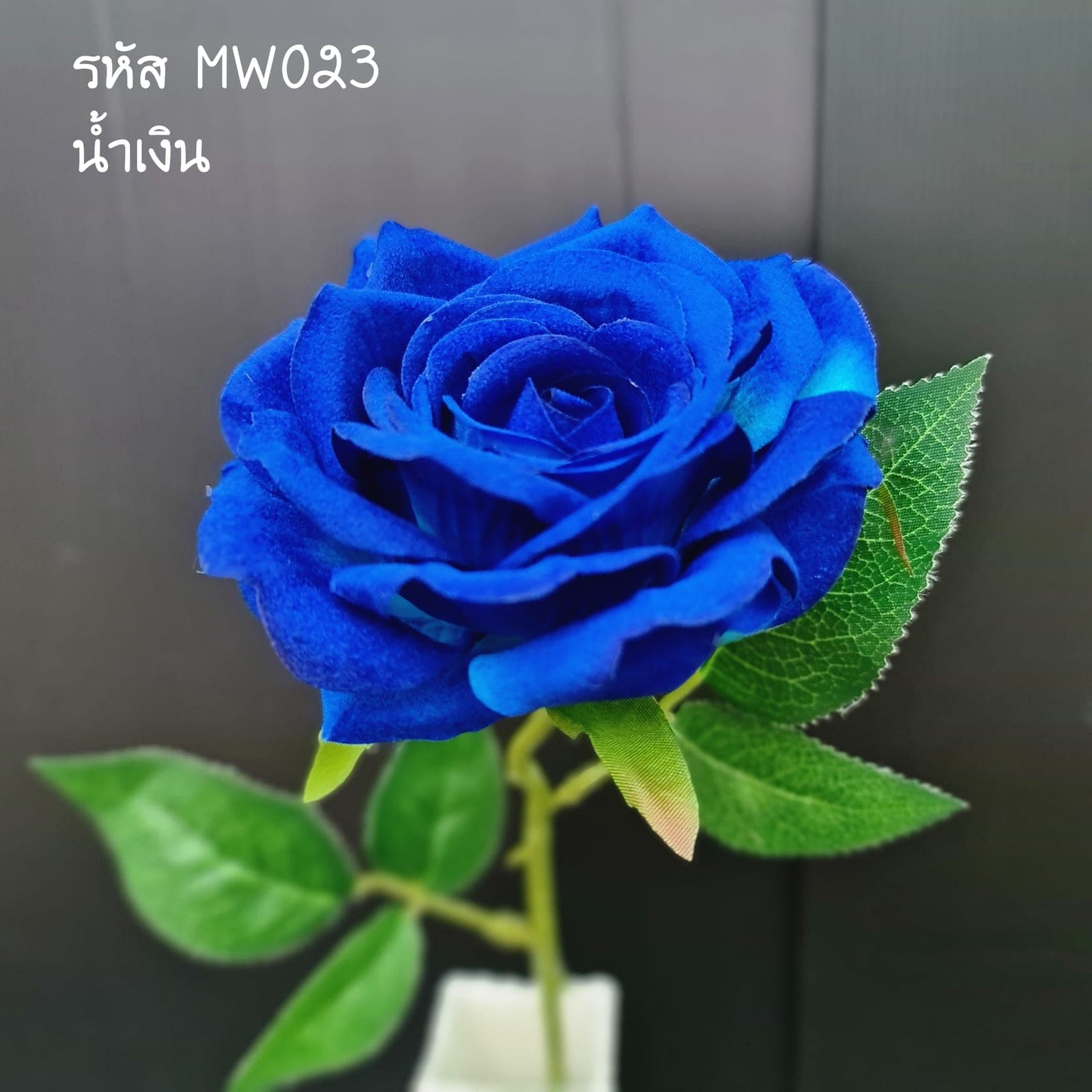 กุหลาบเดี่ยว (MW2), ก้านเดี่ยวกุหลาบ: ดอกแน่น ก้านแข็งแรง ทรงเปิดได้สวยทุกมุม