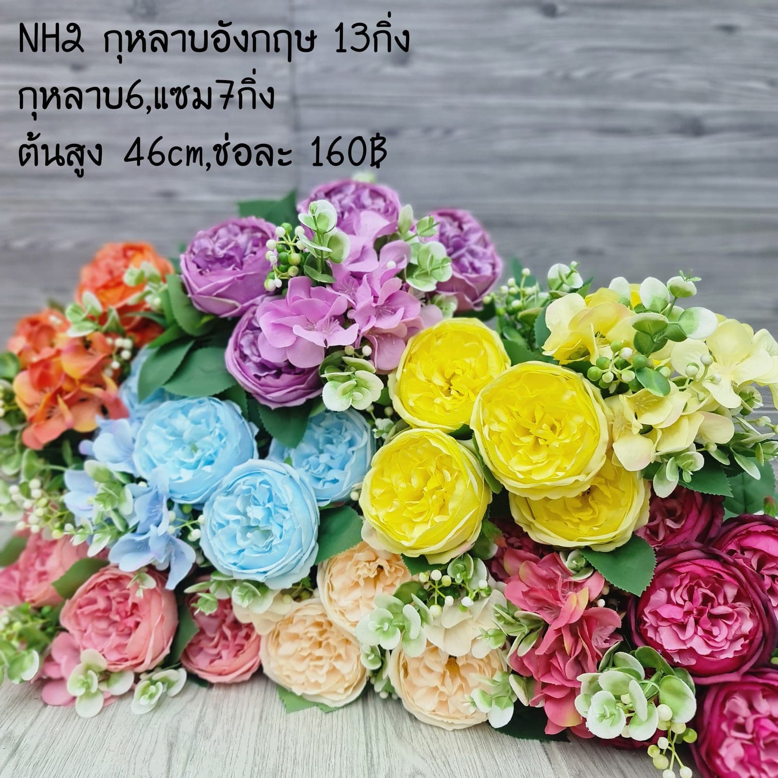 กุหลาบอังกฤษ (NH2), กุหลาบอังกฤษ: บานเปิดเต็มดอกในโทนพาสเทลนุ่ม