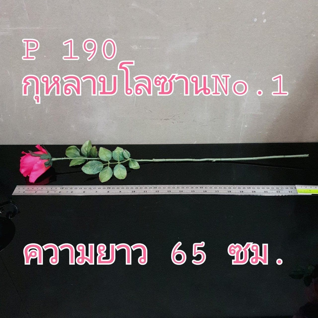 กุหลาบโลซานบาน (P190), กุหลาบ: กลีบกำมะหยี่พับซ้อนกันเป็นชั้นเปิดอ่อนละมุน