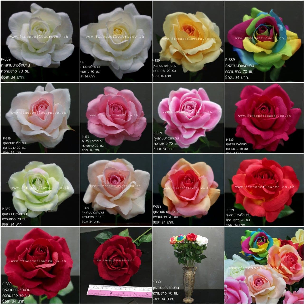 กุหลาบบางรักบาน (P339-3)