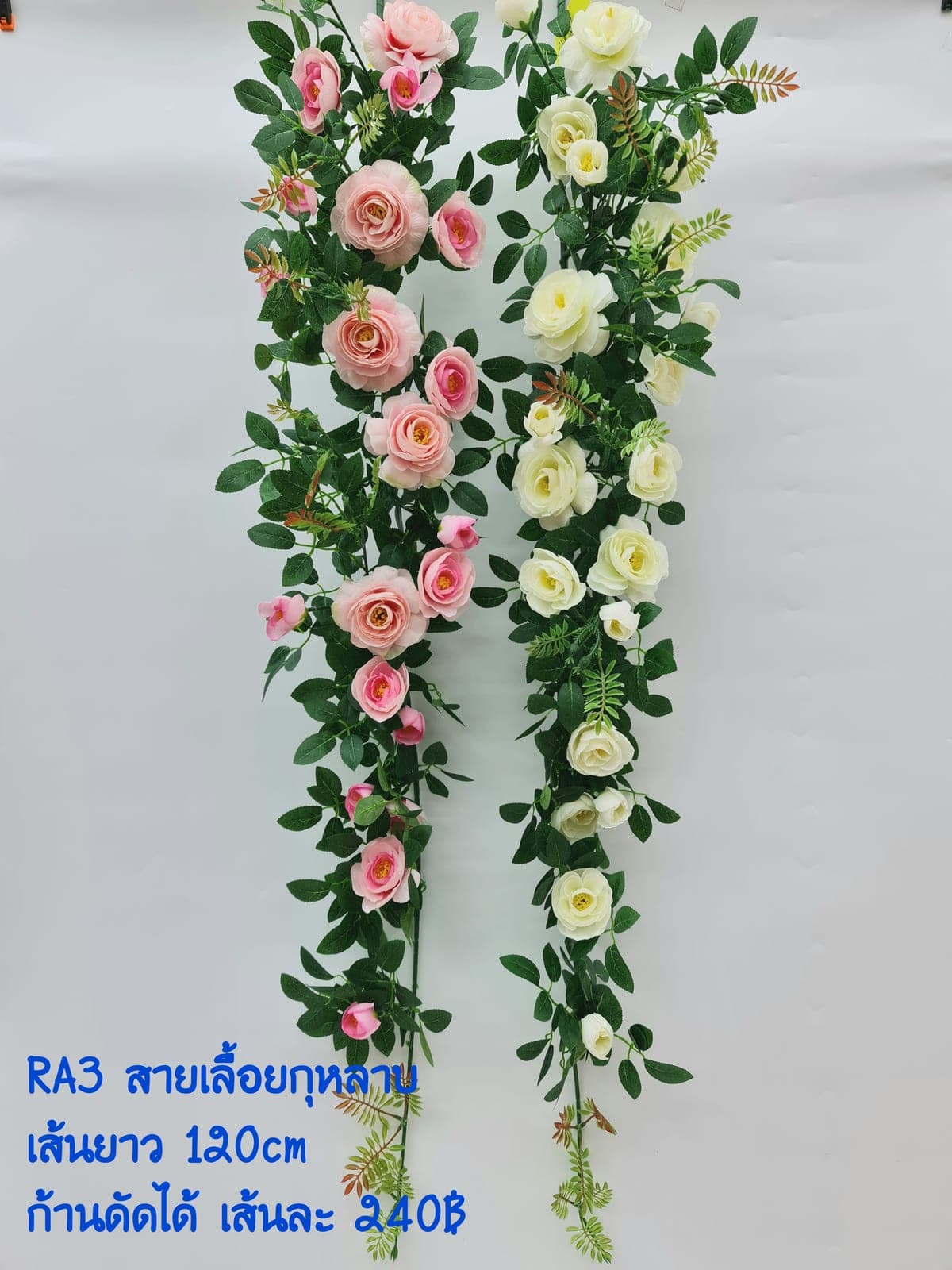 สายเลื้อย กุหลาบ (RA3), กุหลาบ: กลีบกำมะหยี่พับซ้อนกันเป็นชั้นเปิดอ่อนละมุน