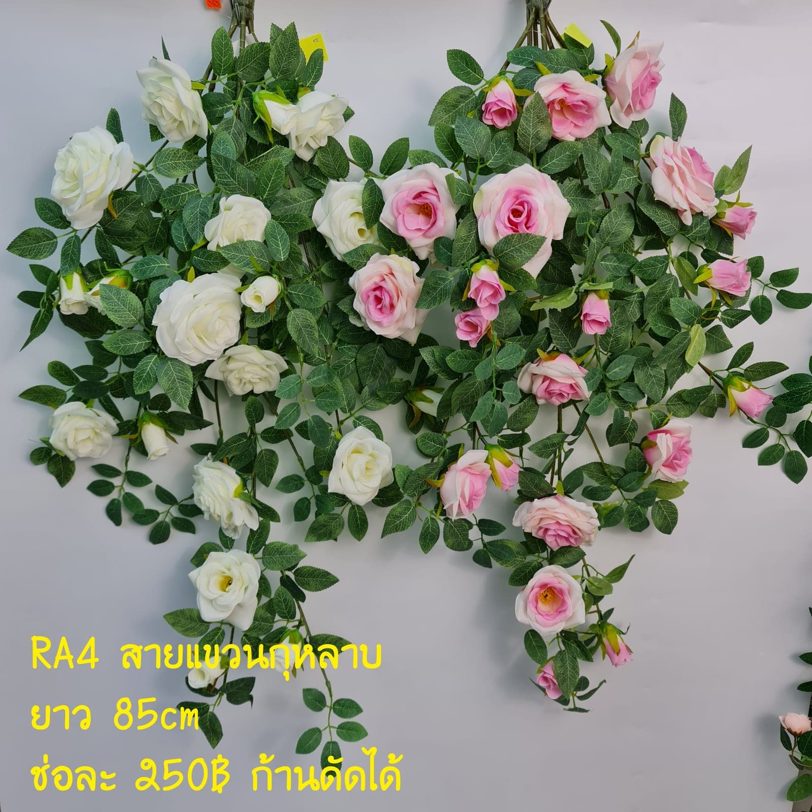 กุหลาบ (RA4), Rose: a sculpted bloom with a sturdy stem and full, even profile.