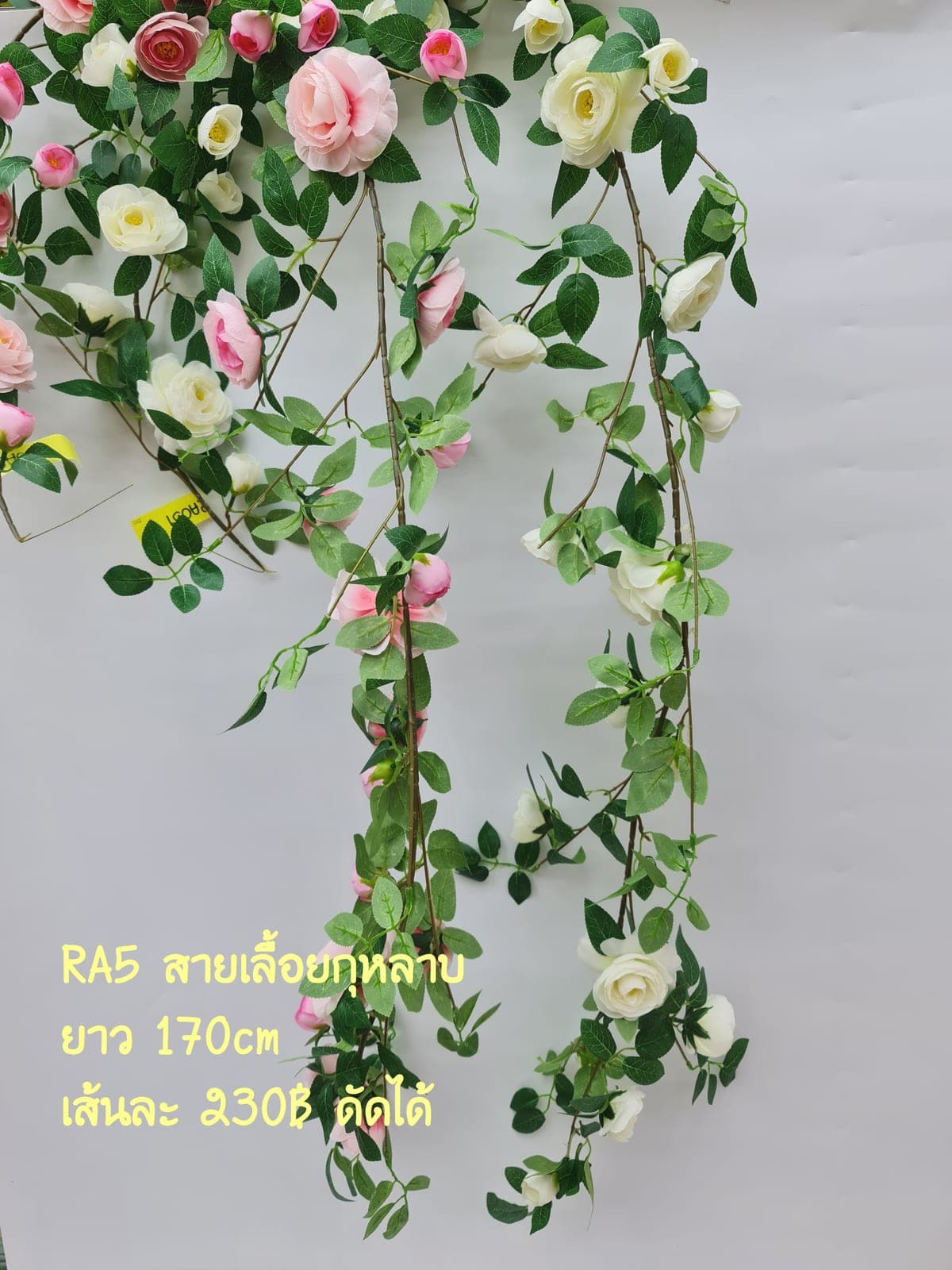 สายเลื้อย กุหลาบ (RA5), กุหลาบ: สีกลีบเป็นชั้นไล่โทนจากใจกลางสู่ขอบนอก