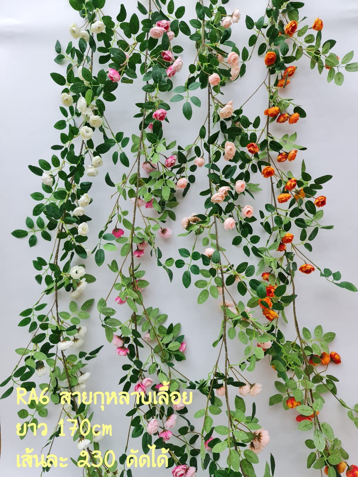 สายเลื้อย กุหลาบ (RA6), กุหลาบ: กลีบกำมะหยี่พับซ้อนกันเป็นชั้นเปิดอ่อนละมุน