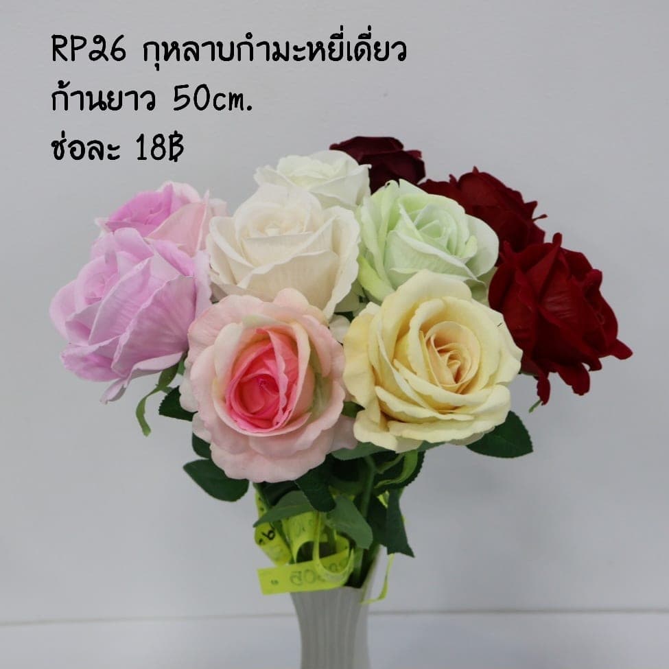 กุหลาบกำมะหยี่เดียว (RP26), กุหลาบ: สีกลีบเป็นชั้นไล่โทนจากใจกลางสู่ขอบนอก