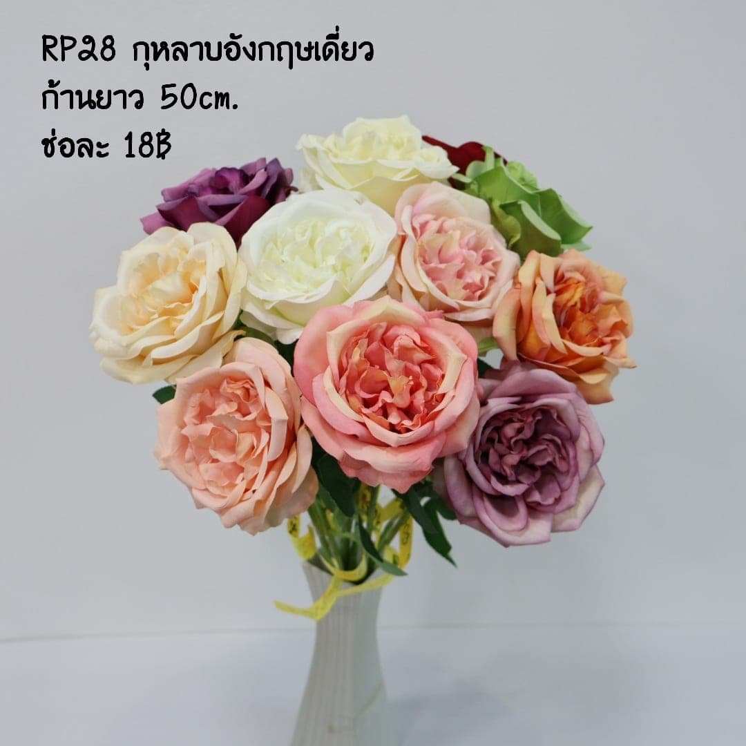 กุหลาบอังกฤษเดี่ยว (RP28), A single-stem English rose: ruffled layers opening to a romantic, cabbage-form bloom.