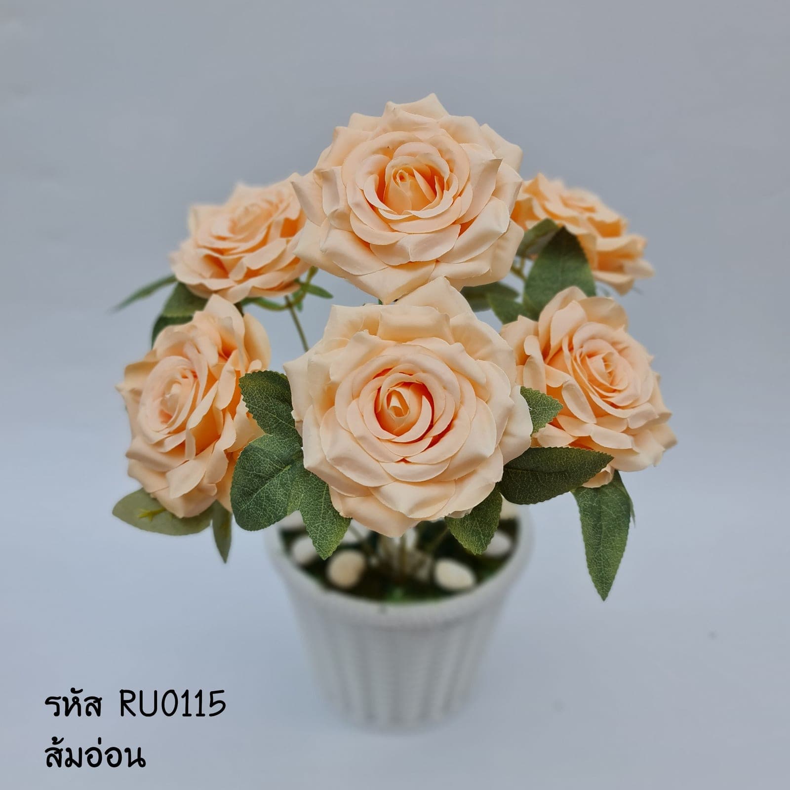 กุหลาบ (RU1), กุหลาบ: กลีบกำมะหยี่พับซ้อนกันเป็นชั้นเปิดอ่อนละมุน