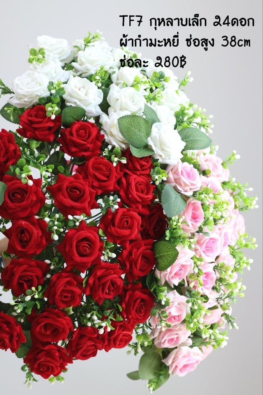 กุหลาบ (TF7), กุหลาบ: สีกลีบเป็นชั้นไล่โทนจากใจกลางสู่ขอบนอก
