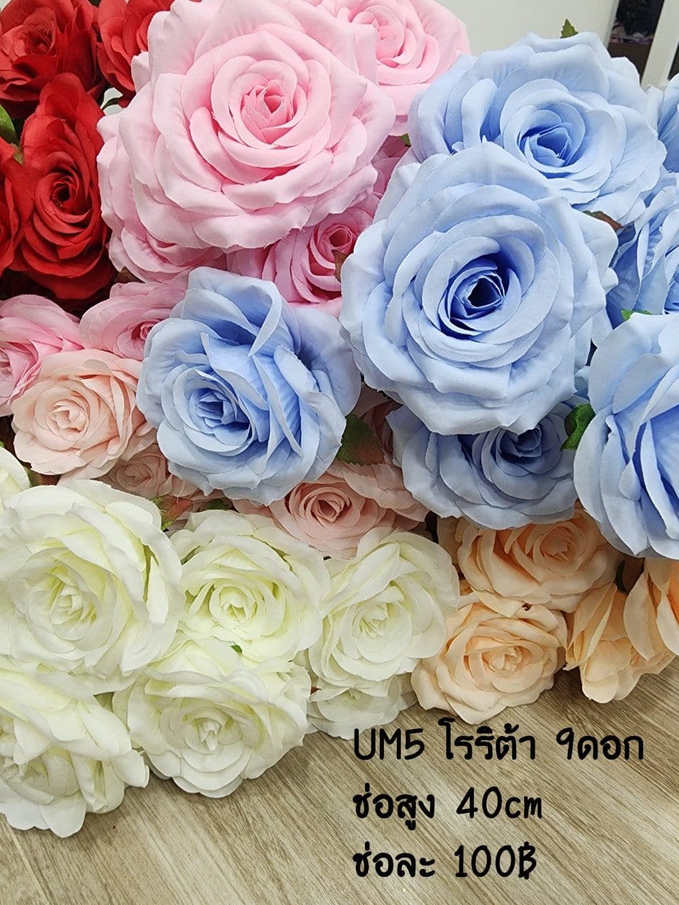 กุหลาบ (UM05), กุหลาบ: สีกลีบเป็นชั้นไล่โทนจากใจกลางสู่ขอบนอก