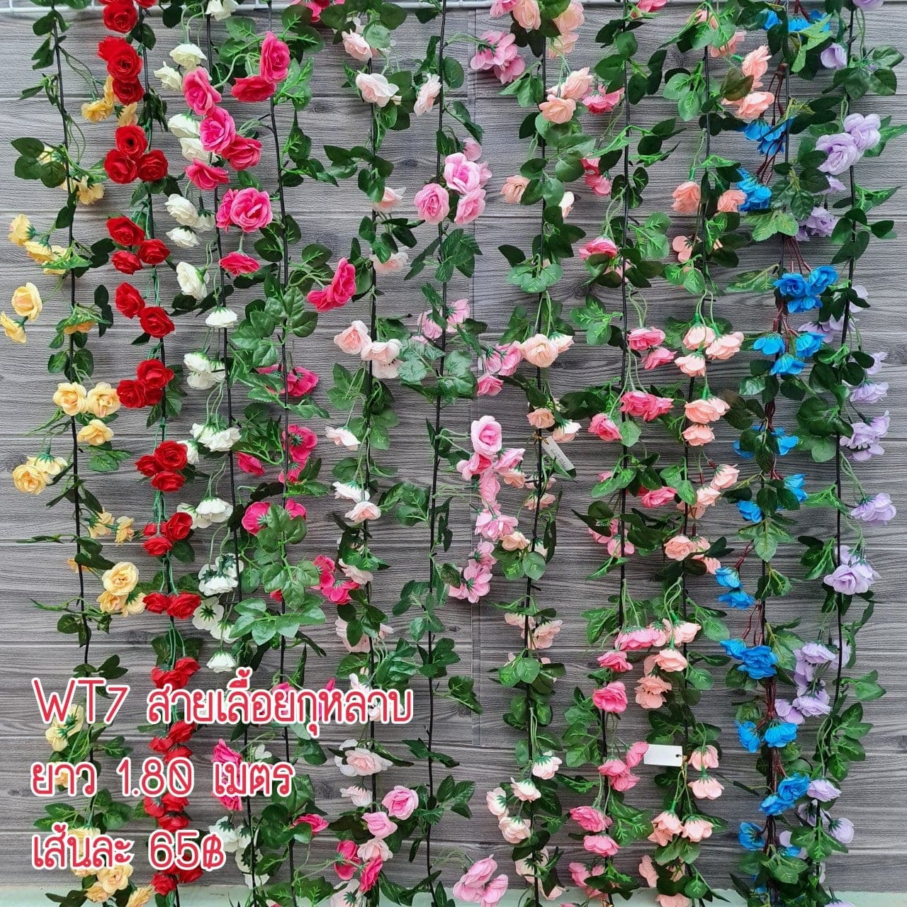 สายเลื้อยกุหลาบ (WT7), กุหลาบ: ดอกแน่น ก้านแข็งแรง ทรงเปิดได้สวยทุกมุม
