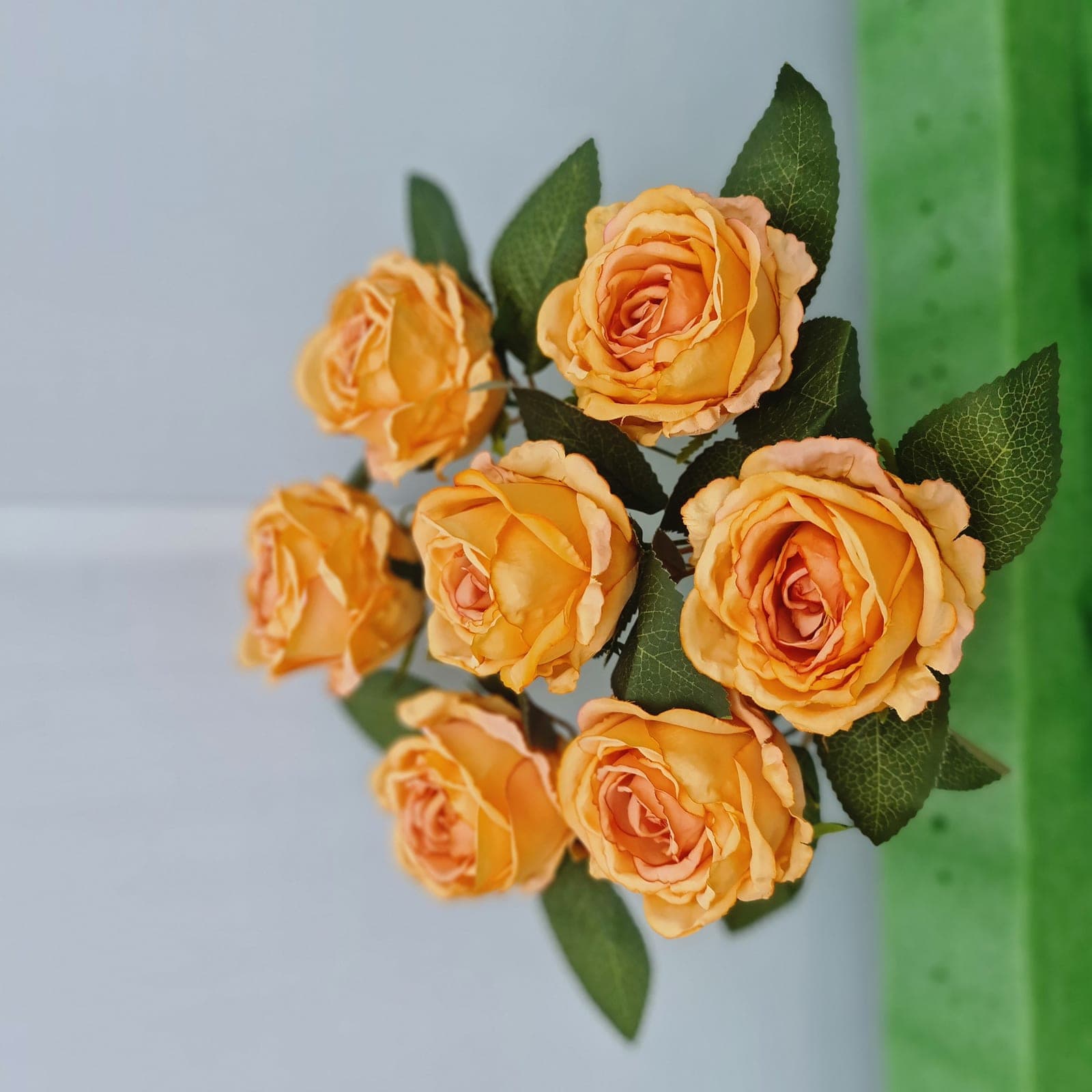กุหลาบ7ดอก (WZ35), กุหลาบ 7 ดอก: สีกลีบเป็นชั้นไล่โทนจากใจกลางสู่ขอบนอก
