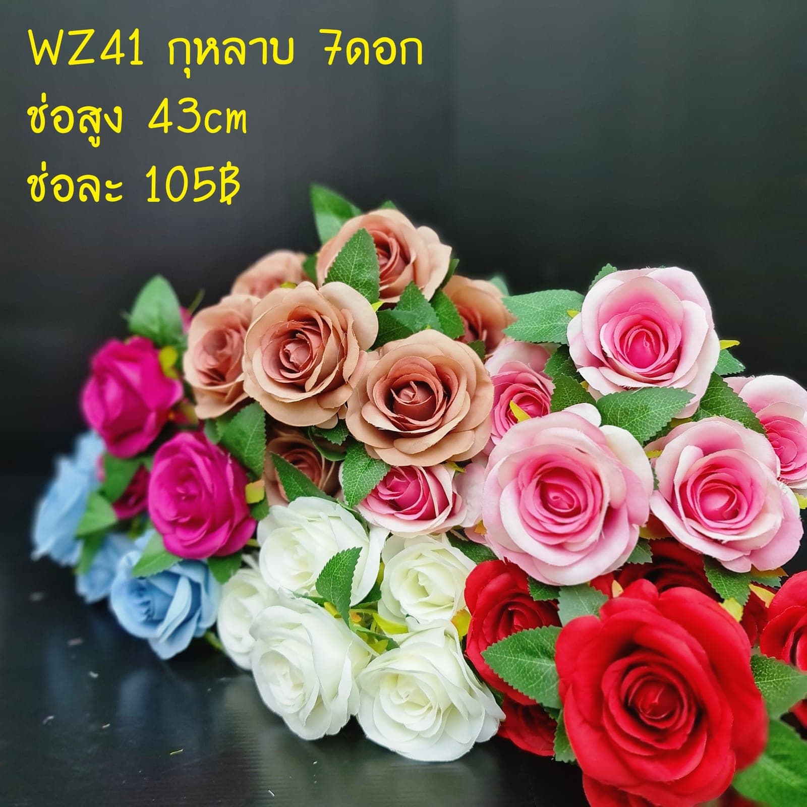 กุหลาบ 7ดอก (WZ41), กุหลาบ 7 ดอก: สีกลีบเป็นชั้นไล่โทนจากใจกลางสู่ขอบนอก