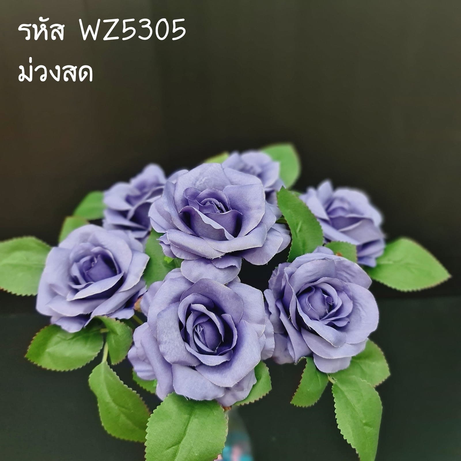 กุหลาบ7ดอก (WZ53), กุหลาบ 7 ดอก: สีกลีบเป็นชั้นไล่โทนจากใจกลางสู่ขอบนอก