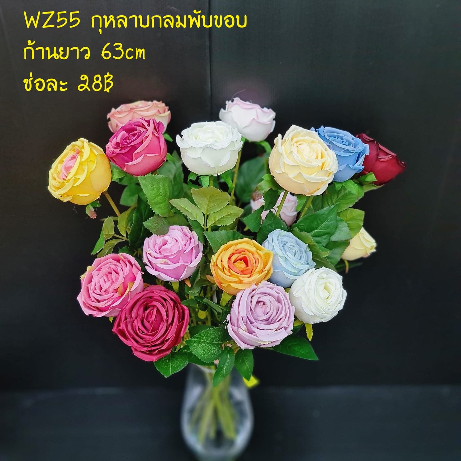 กุหลาบกลม (WZ55), กุหลาบ: ดอกแน่น ก้านแข็งแรง ทรงเปิดได้สวยทุกมุม