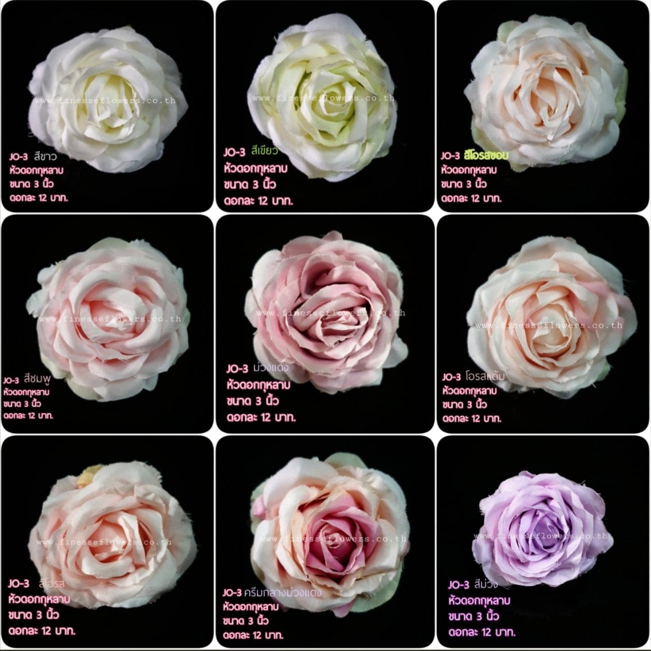 หัวกุหลาบJO-3 (X7H8A2E), กุหลาบ: สีกลีบเป็นชั้นไล่โทนจากใจกลางสู่ขอบนอก