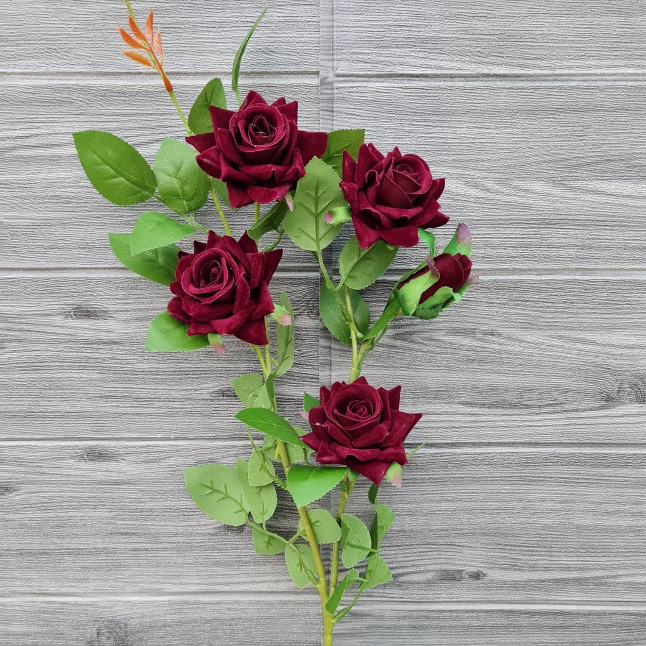ุกุหลาบกำมะหยี่ช่อยาว (X8O157F), Rose: a sculpted bloom with a sturdy stem and full, even profile.