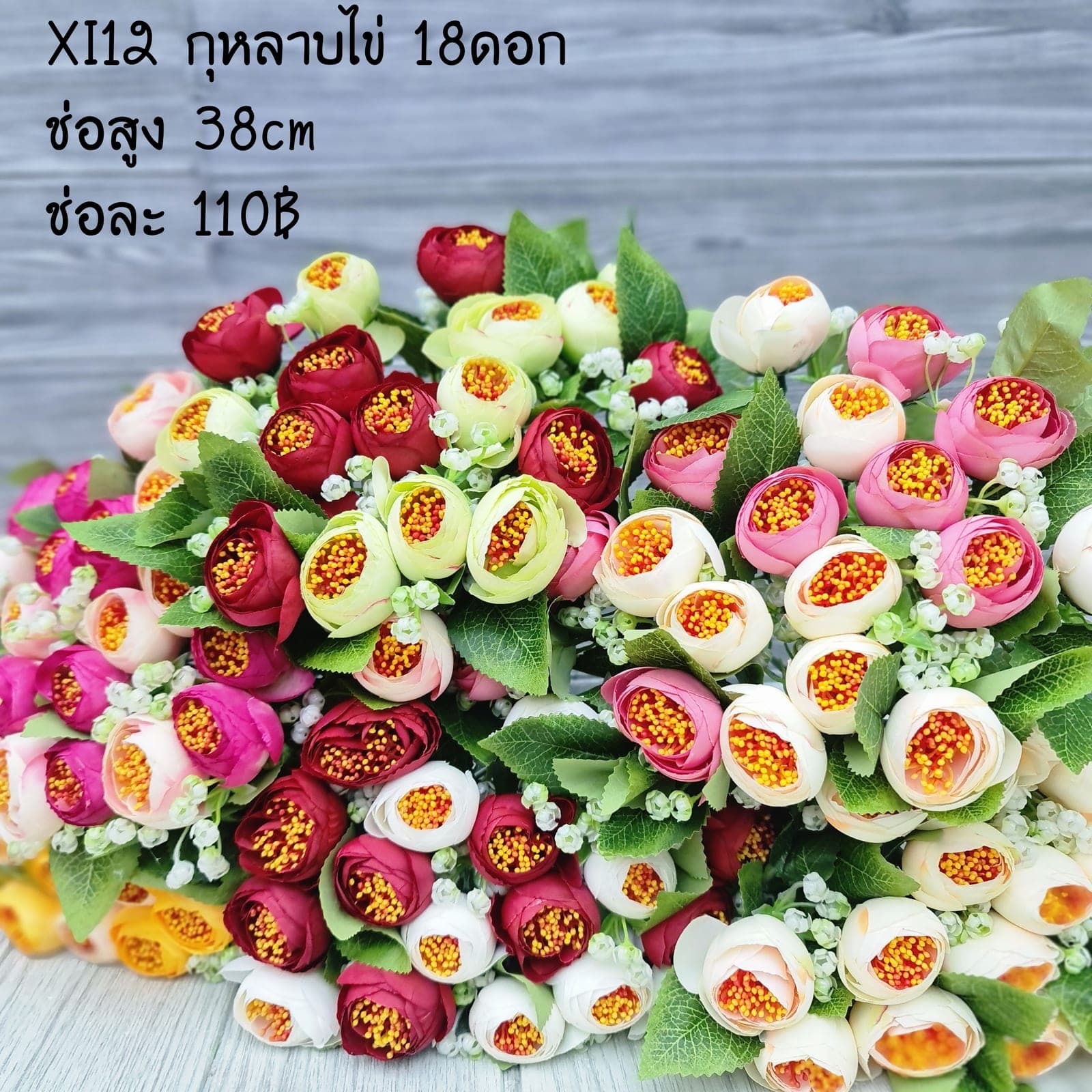 กุหลาบไข่x18 (XI12), กุหลาบ: สีกลีบเป็นชั้นไล่โทนจากใจกลางสู่ขอบนอก