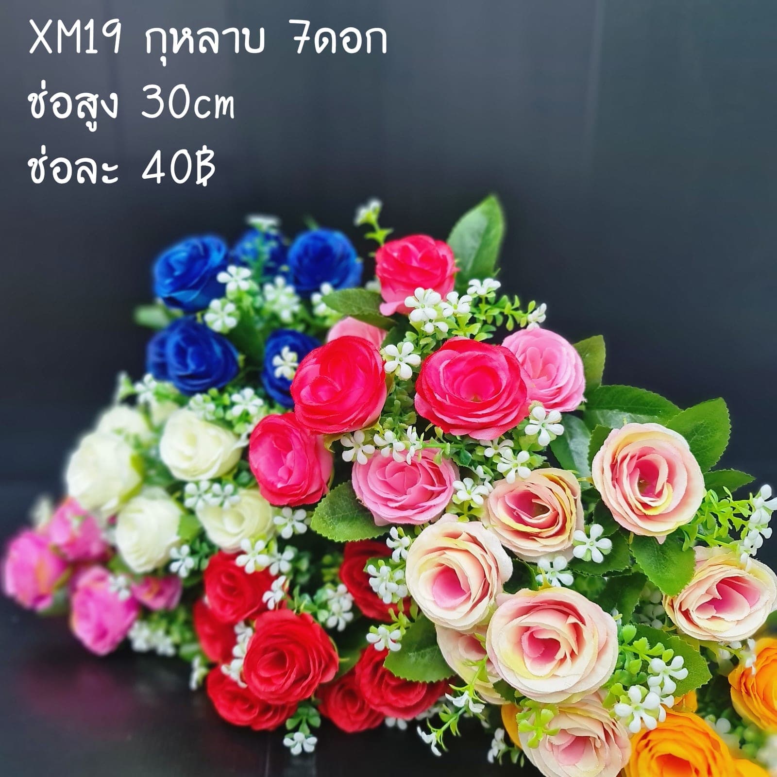 กุหลาบ 7ดอก (XM19), กุหลาบ 7 ดอก: ดอกแน่น ก้านแข็งแรง ทรงเปิดได้สวยทุกมุม